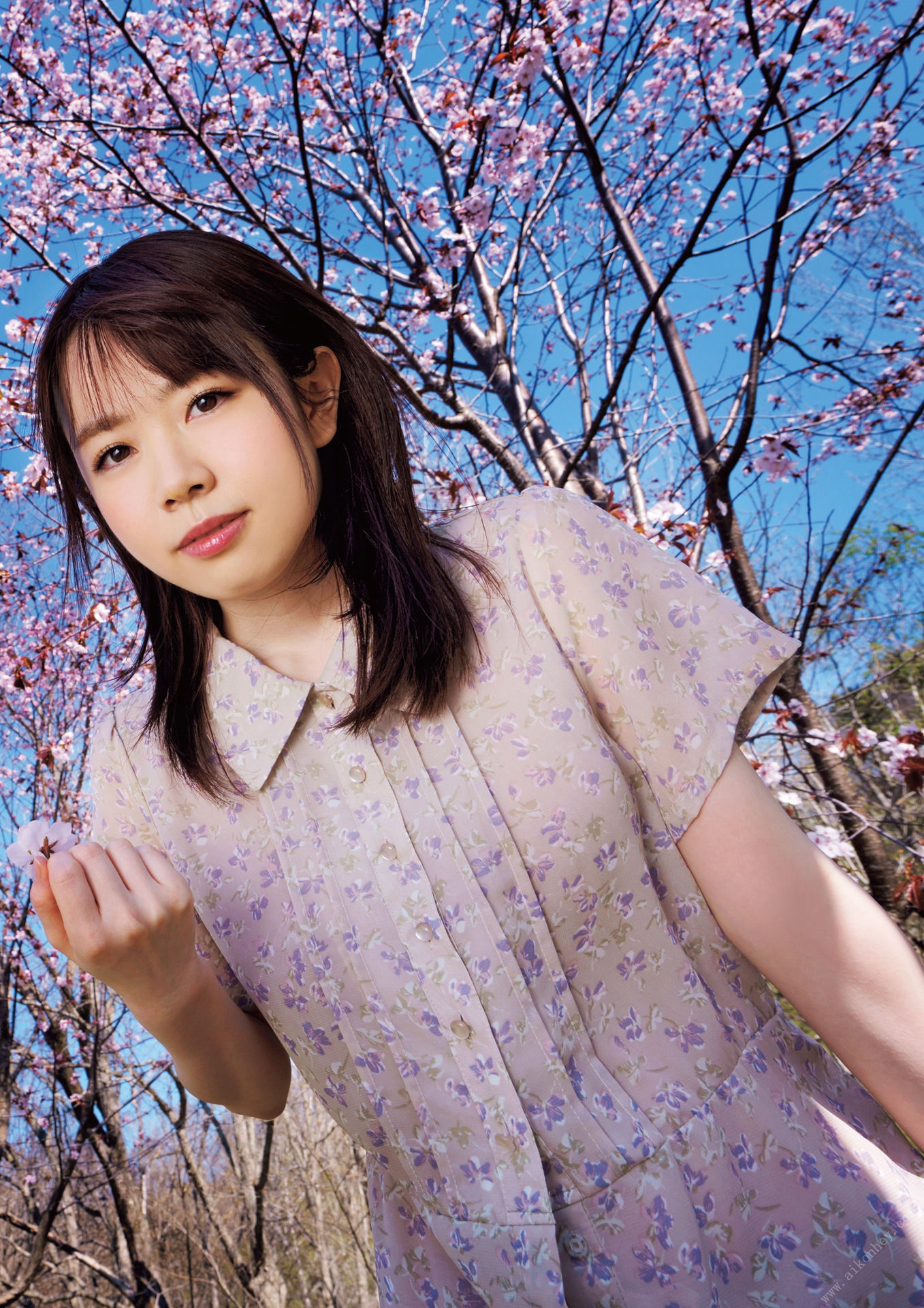 Image 6884795 from Sakura Miura