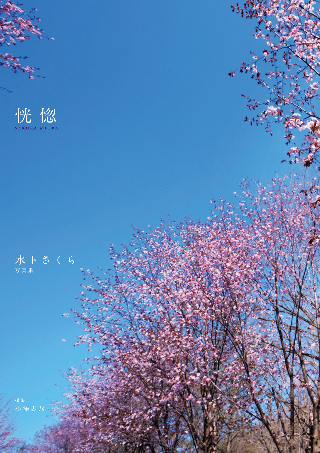 Image 6884802 from Sakura Miura
