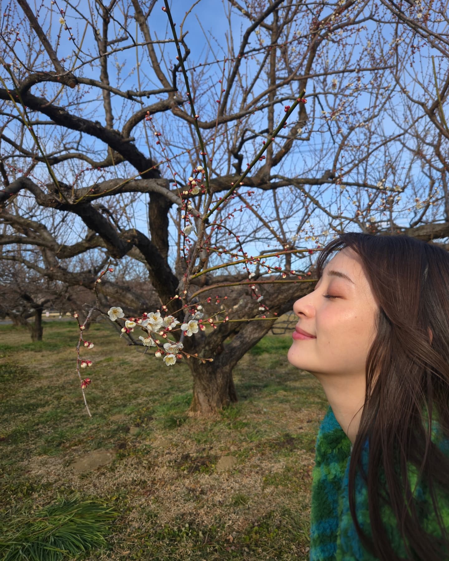 Image 6937664 from Rika Adachi / 足立 梨花 / adacchee