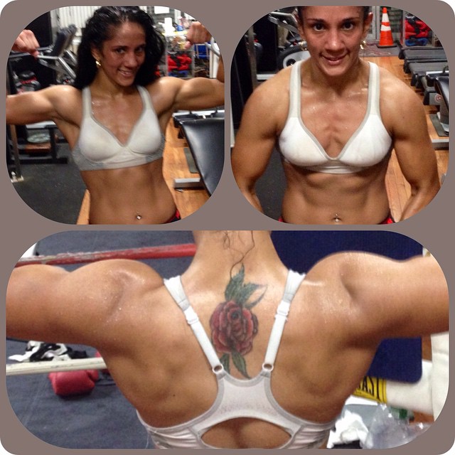 Image 6963815 from Amanda Serrano / Puerto Rican Boxer