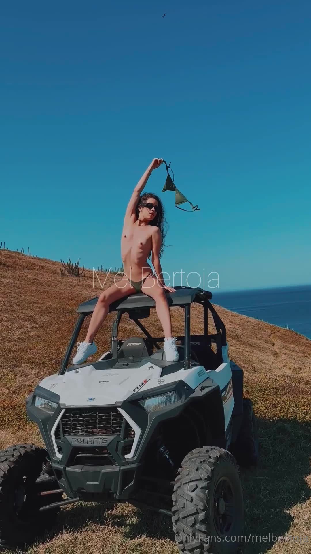 Video 202588 from Mel Bertoja