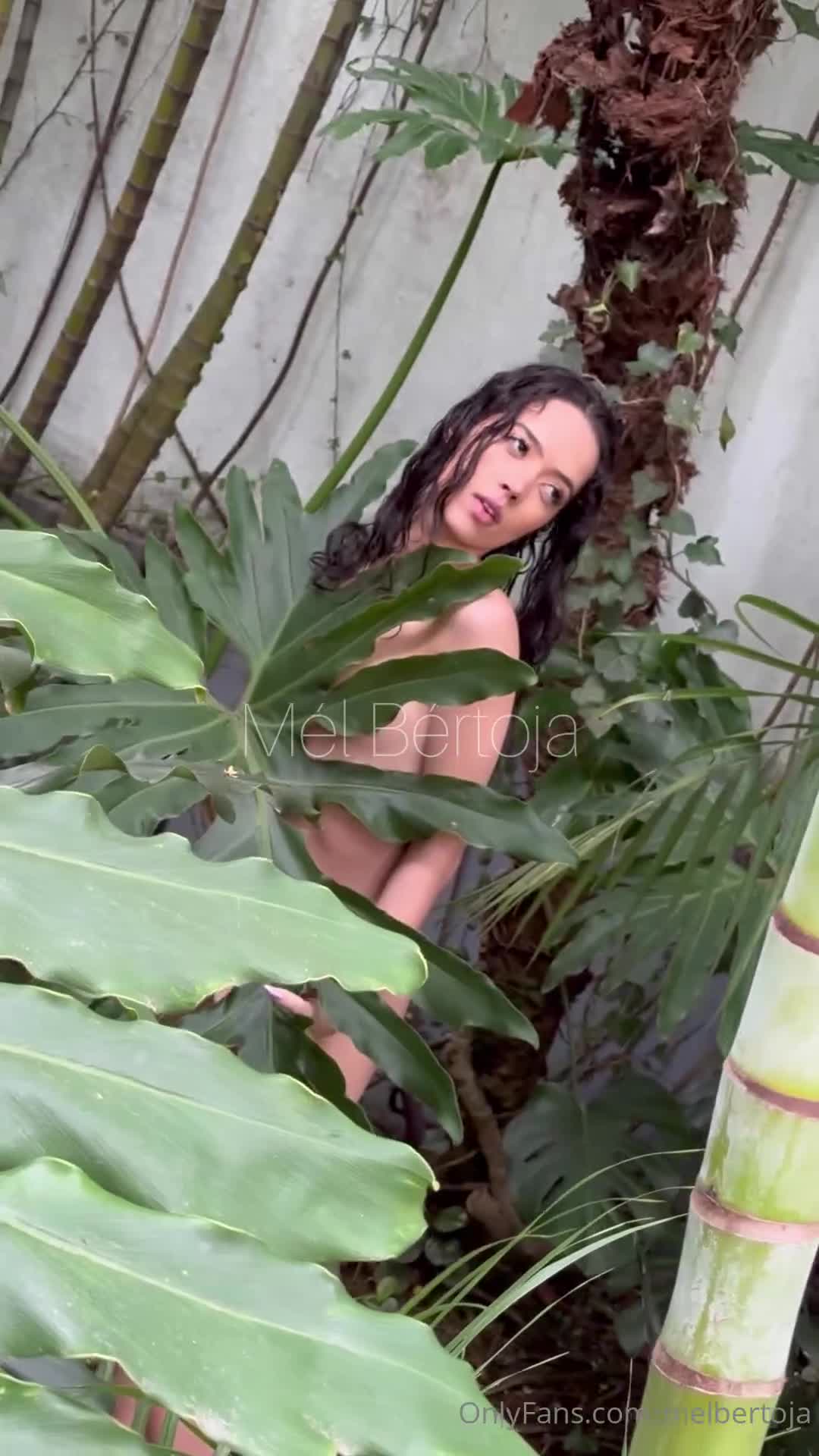 Video 202592 from Mel Bertoja