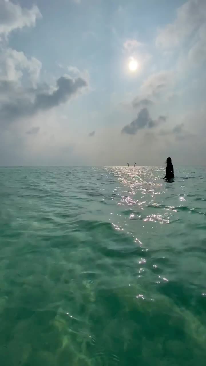 Video 204447 from IZA