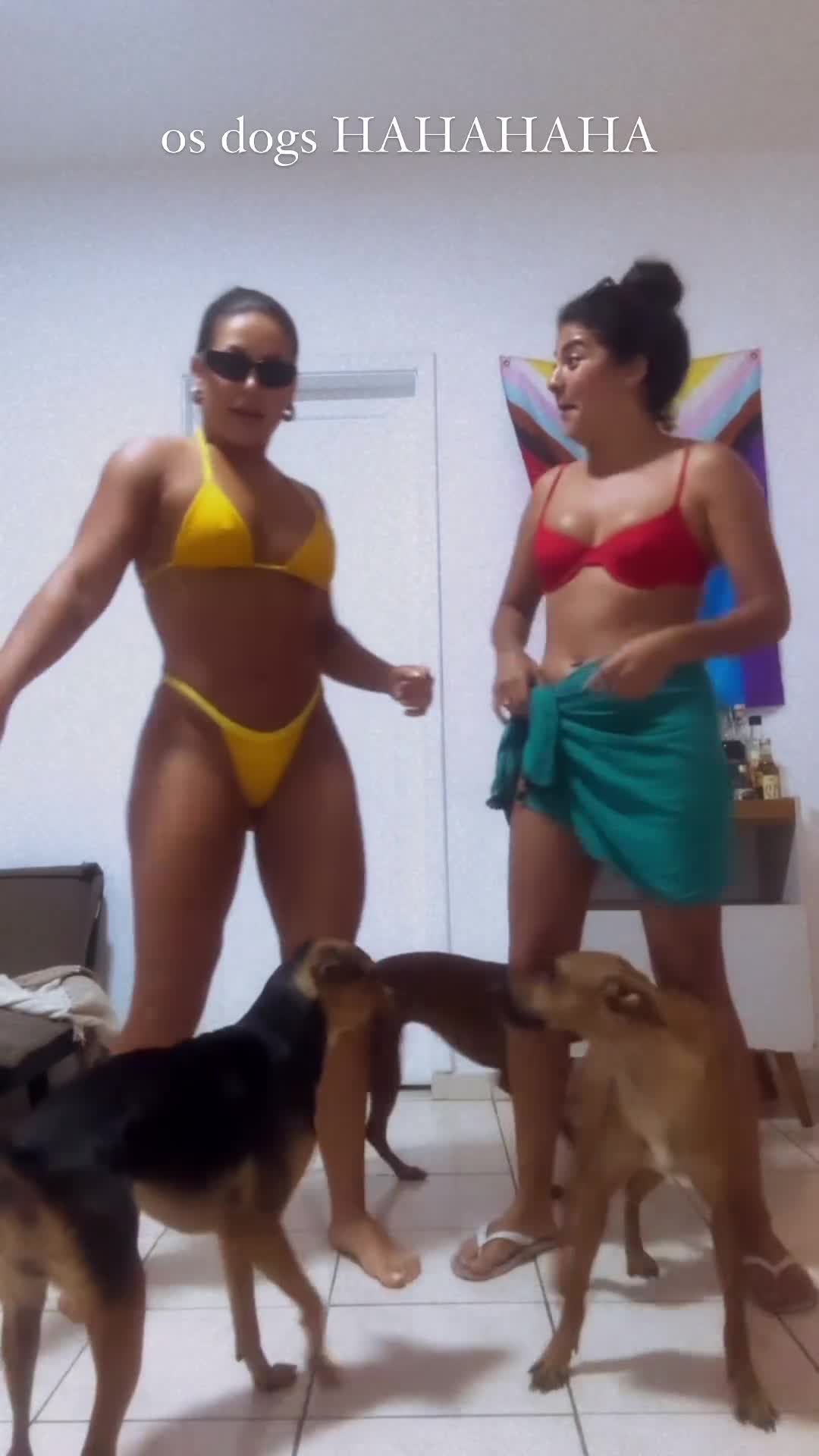 Video 205869 from Kéfera Buchmann