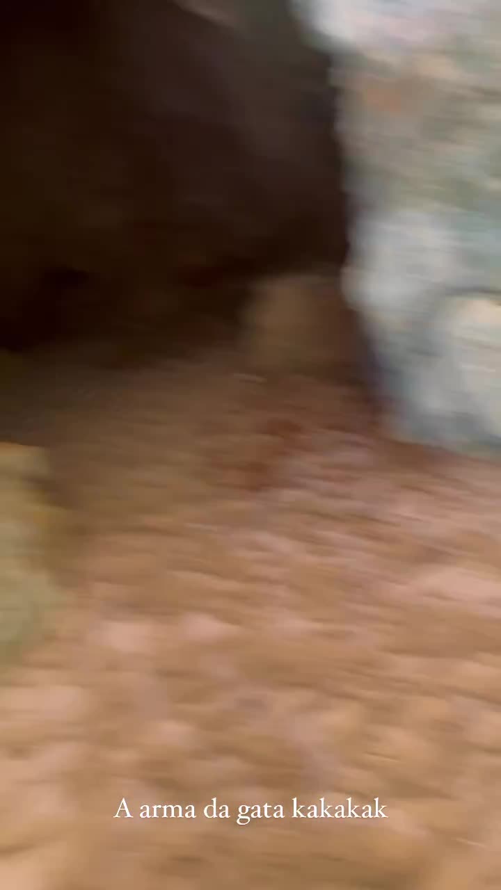 Video 206433 from Vanessa Lopes