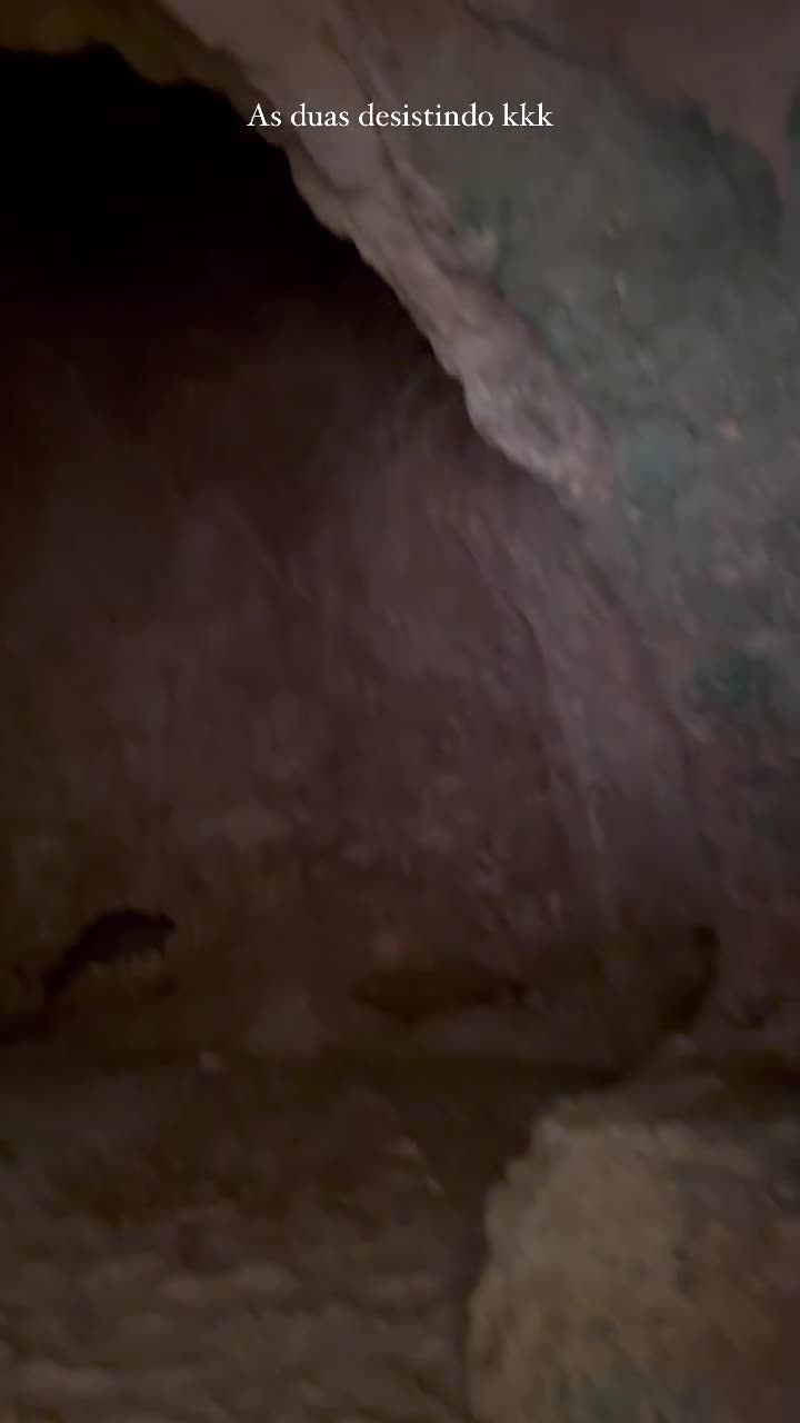 Video 206434 from Vanessa Lopes