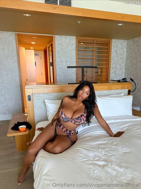 Image 7029720 from Vivi Panamera