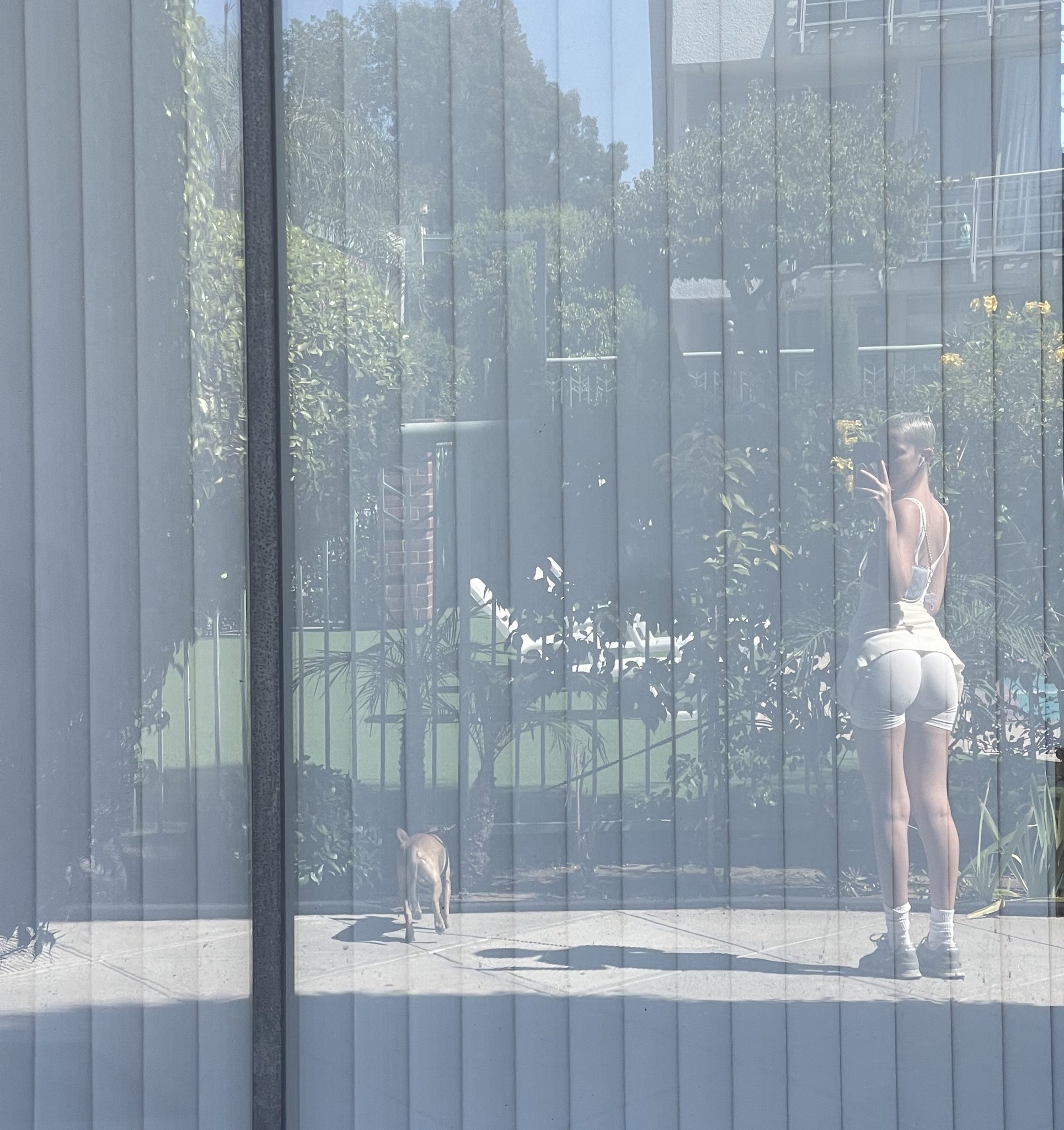 Image 7108203 from Daisy Delancey