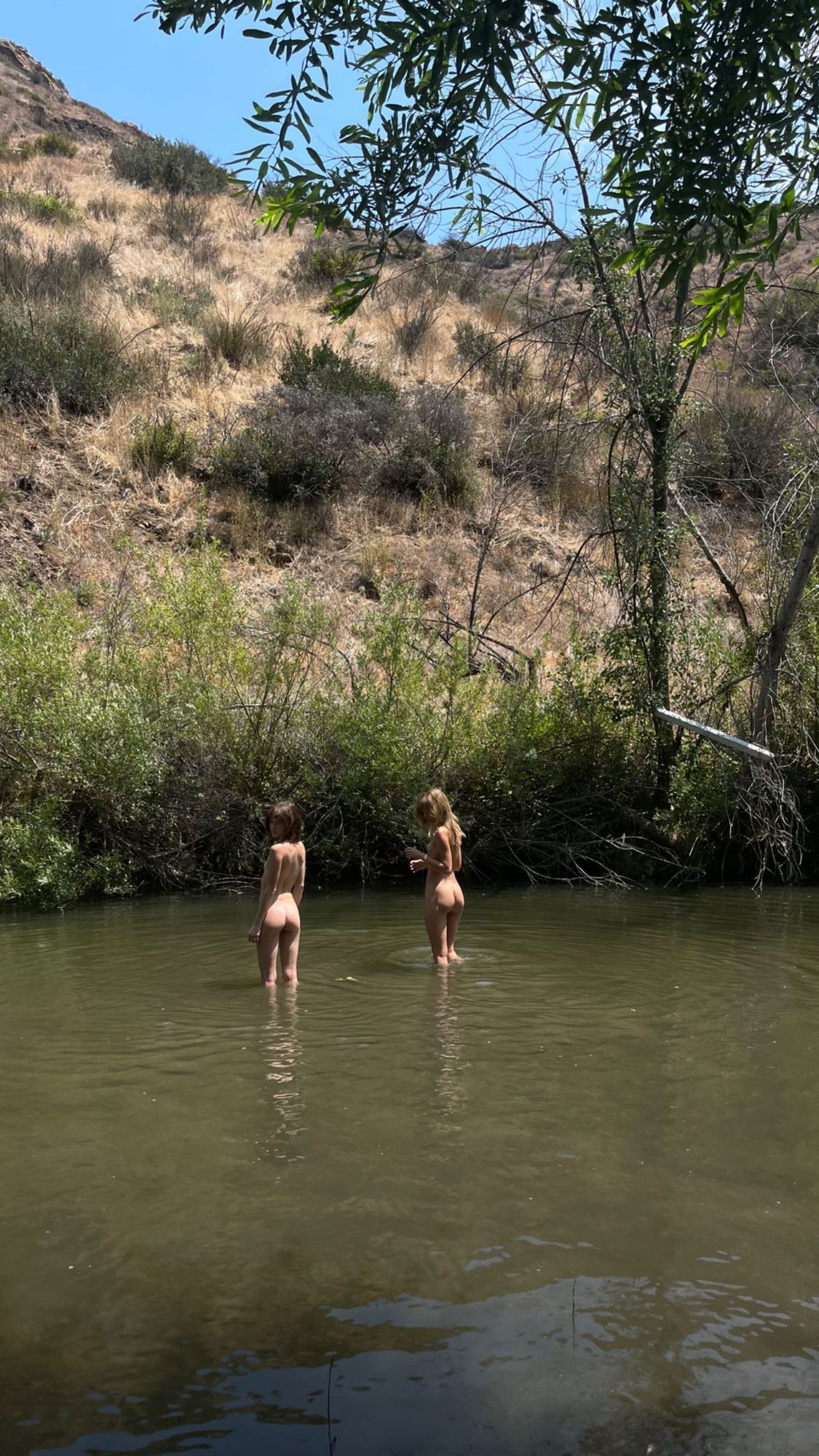 Image 7114564 from Courtney Mawhorr