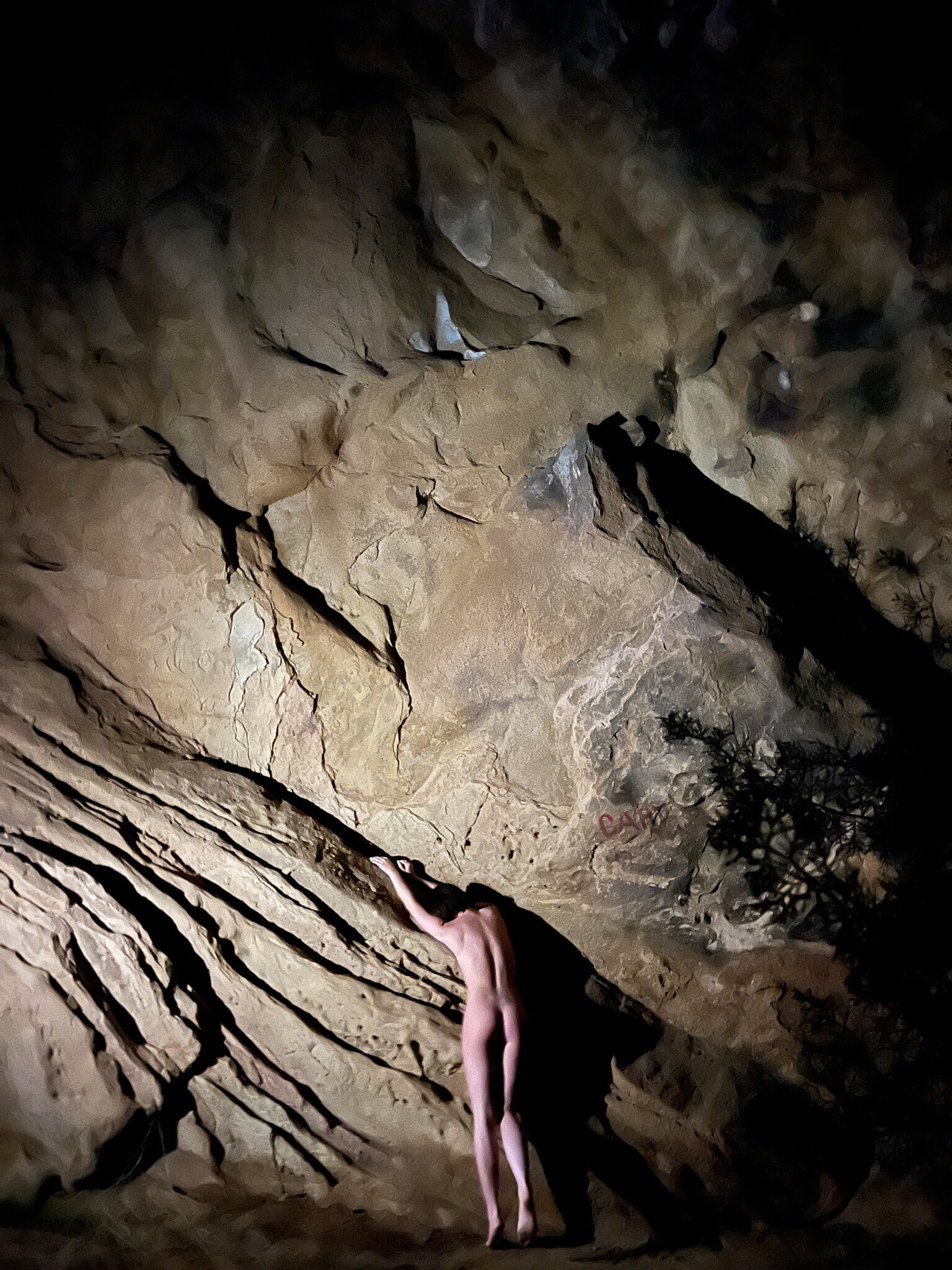 Image 7114572 from Courtney Mawhorr