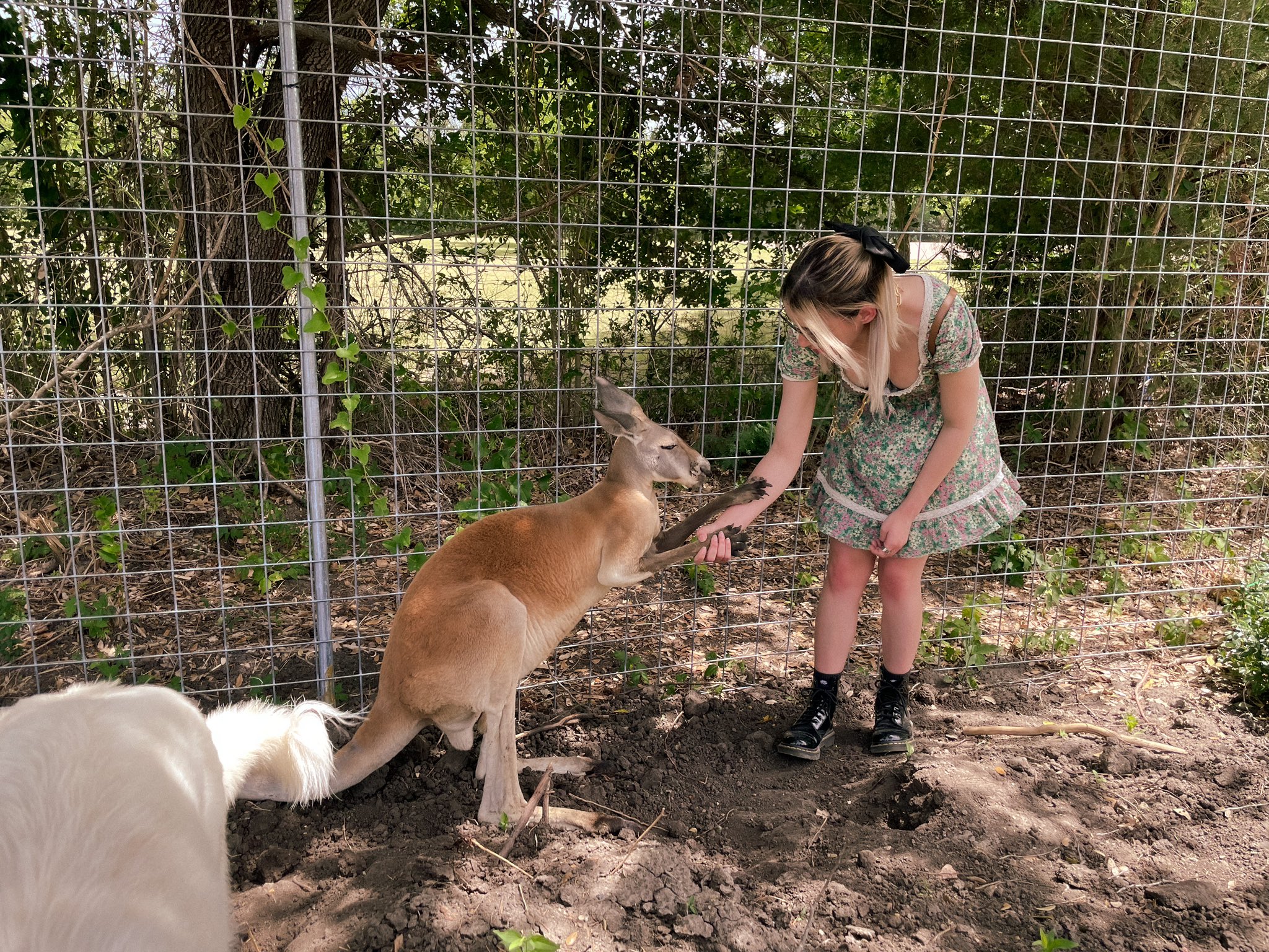 Image 7144837 from Shubble