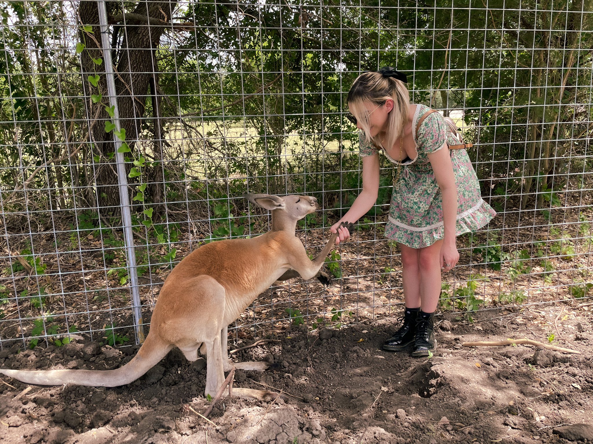 Image 7144839 from Shubble
