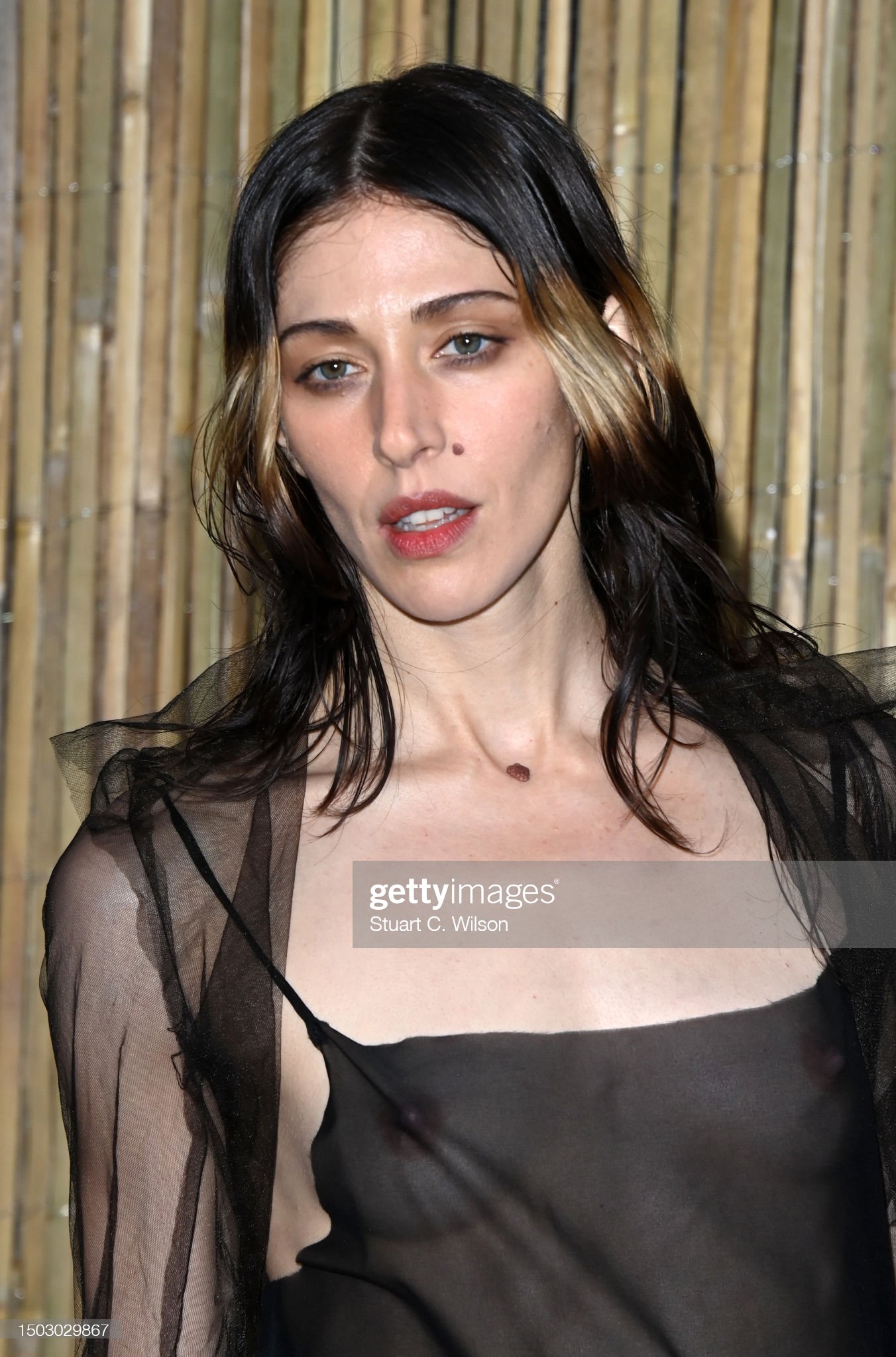 Image 7175483 from Caroline Polachek