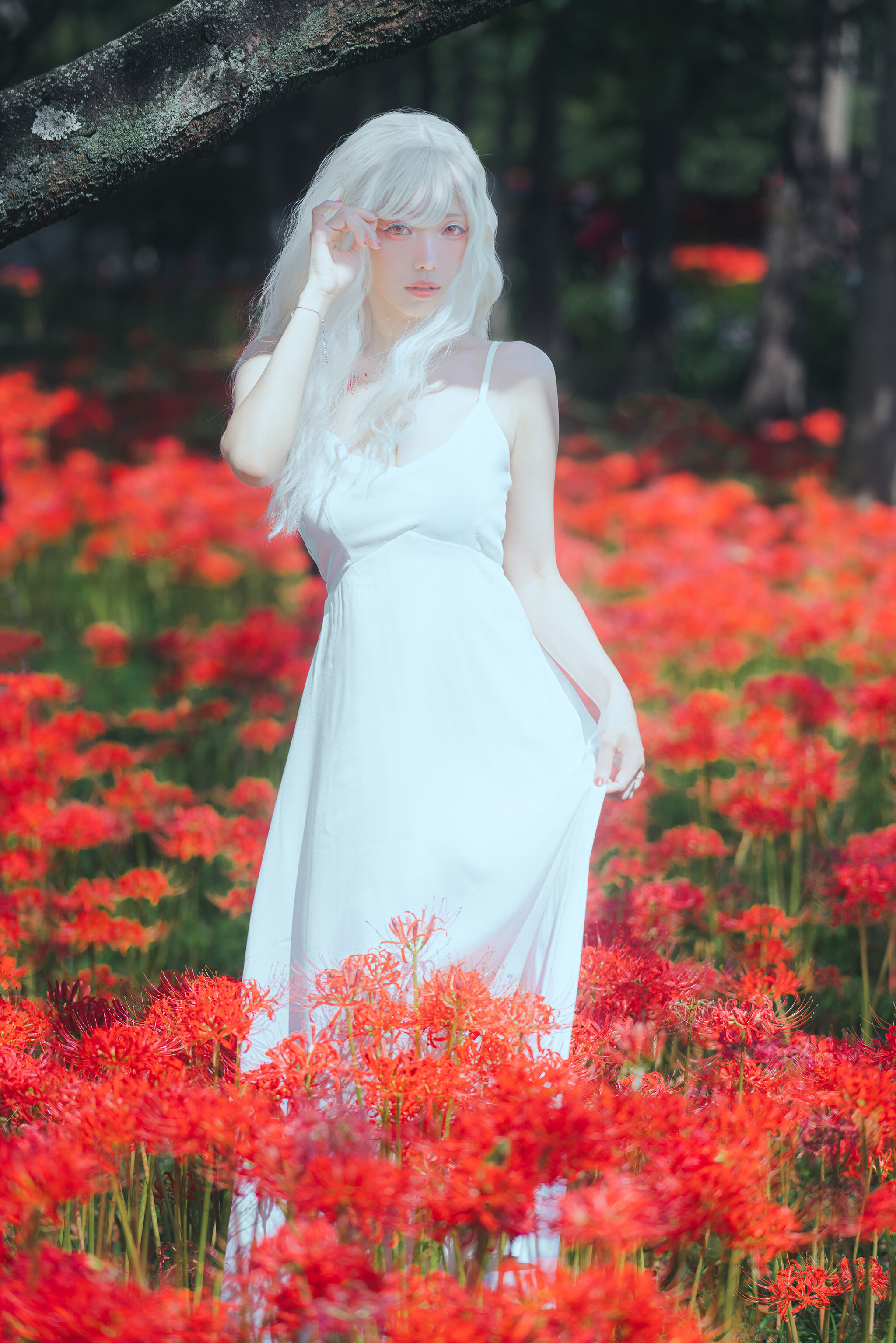 Image 7191456 from eeelyeee (Ely Cosplay)