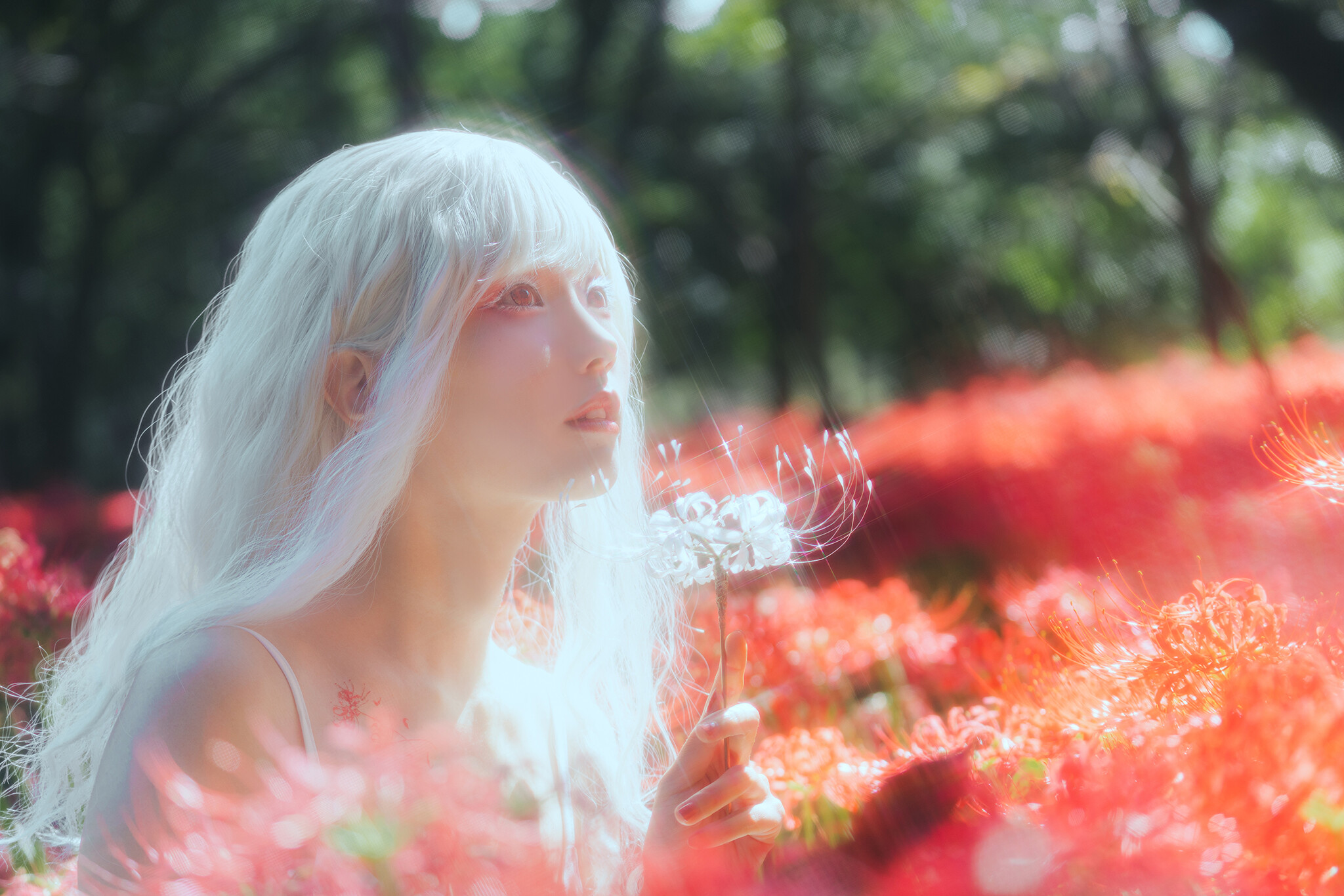 Image 7191477 from eeelyeee (Ely Cosplay)