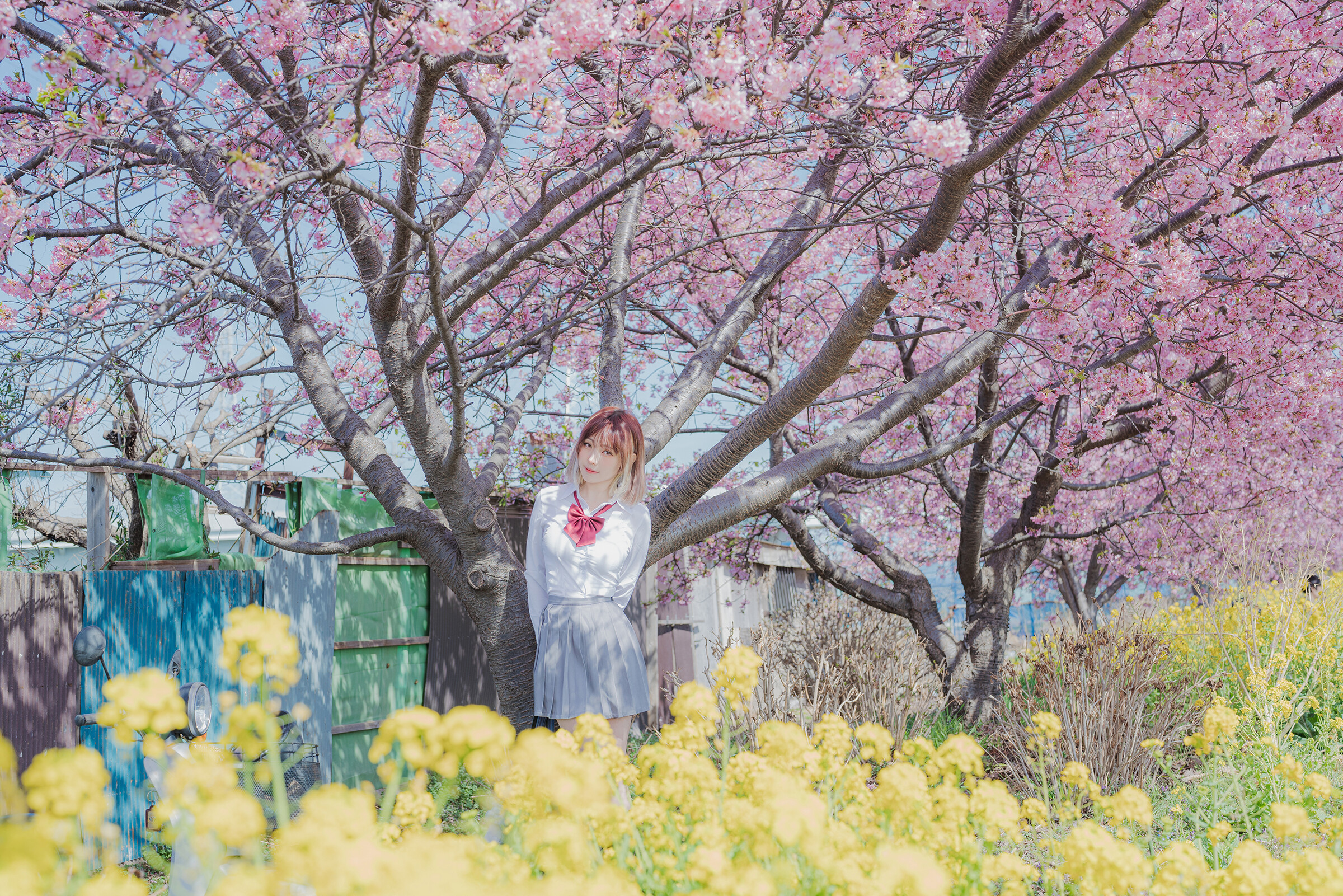 Image 7191913 from eeelyeee (Ely Cosplay)