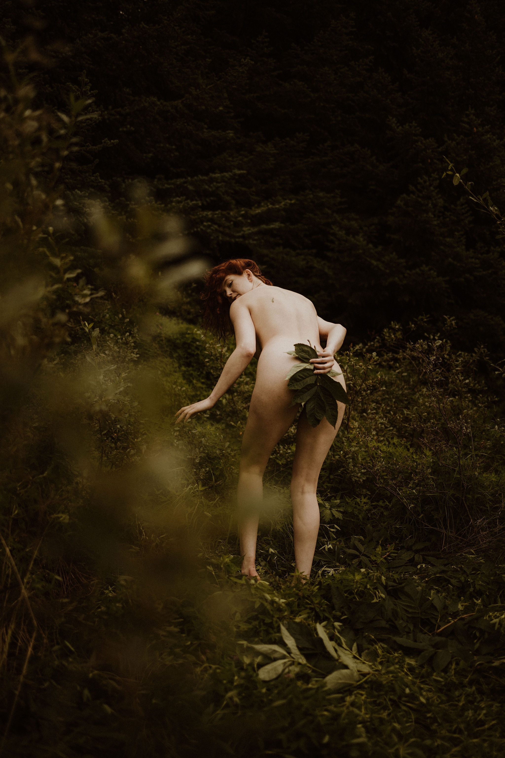Image 7192542 from Icelandic Selkie