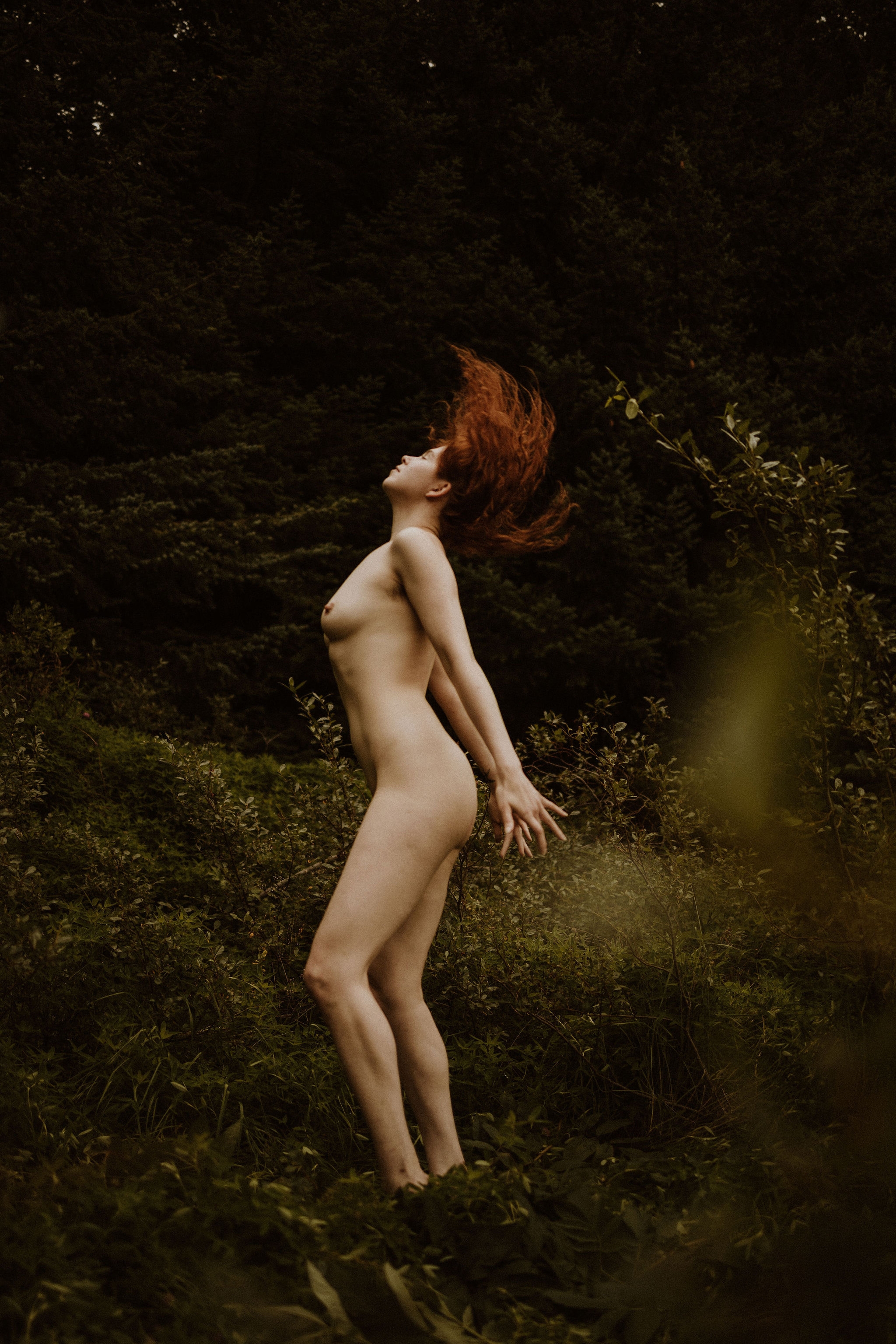 Image 7192557 from Icelandic Selkie