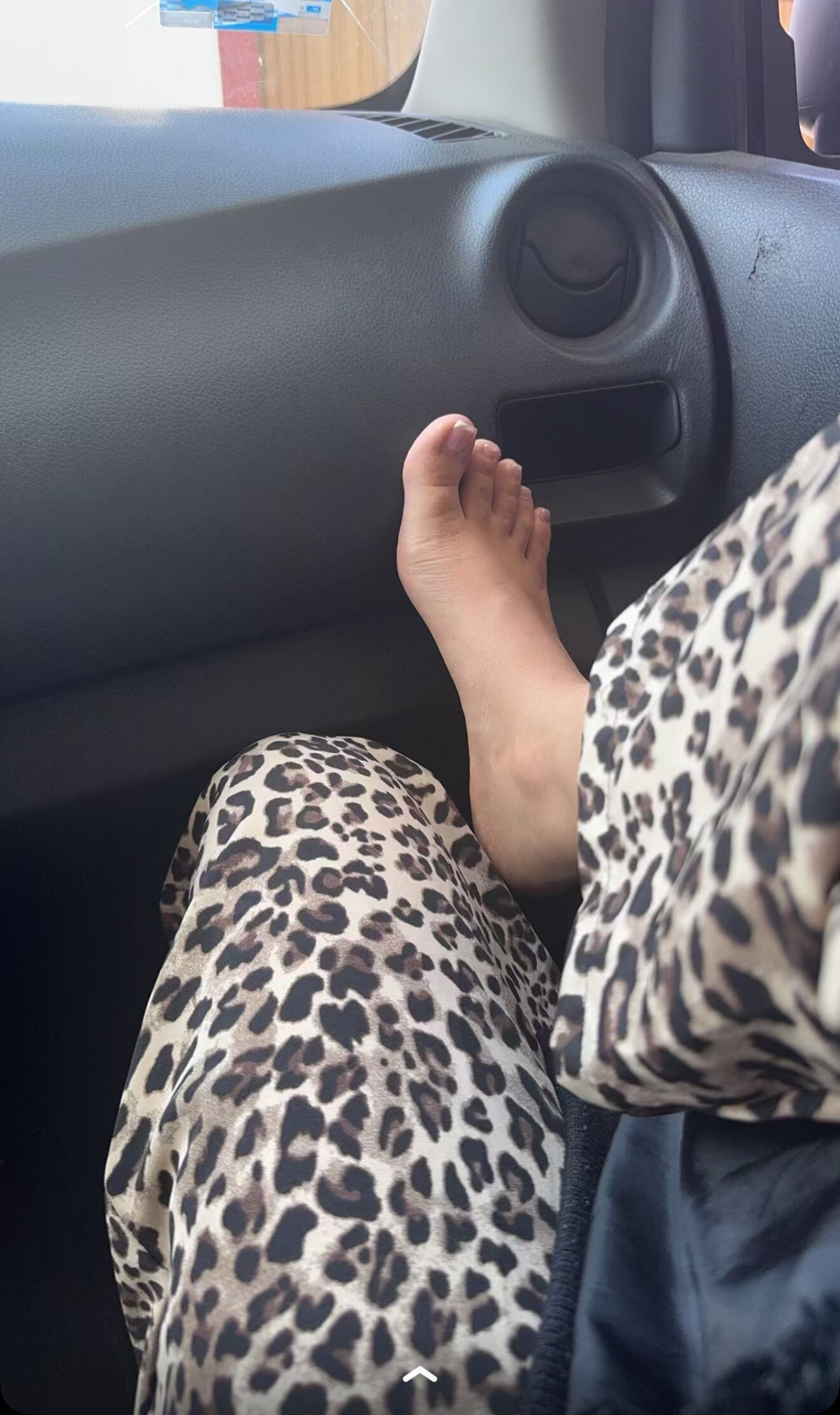 Image 7240824 from Lisy Cardenas