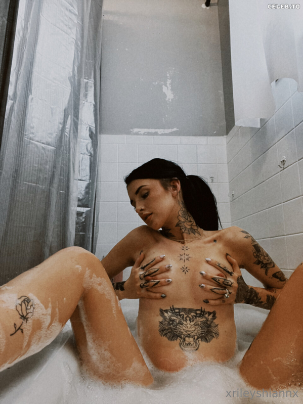 Image 7428443 from Riley Shiann