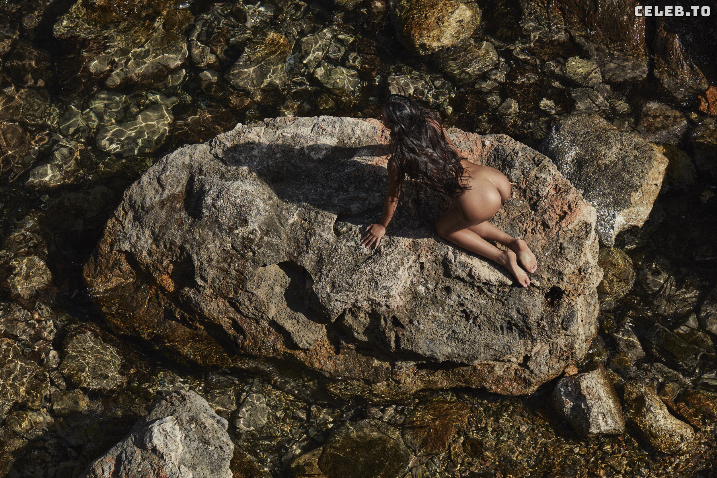 Image 7472847 from Tatiana Panakal