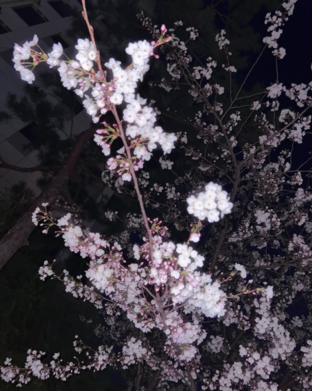 Image 7502792 from rh_ab / iloveuyo 유요