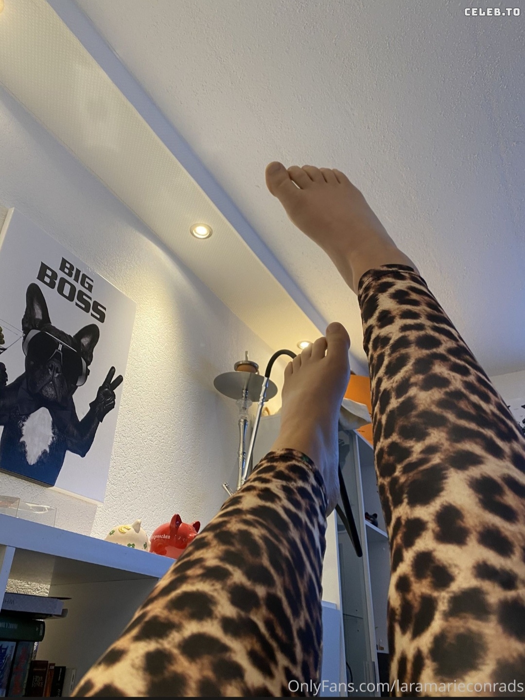 Image 752218 from Lara Marie Conrads