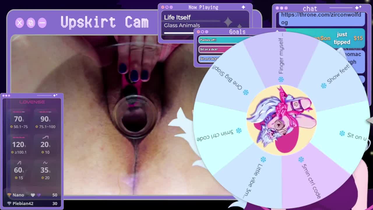 Video 227169 from Zircon Wolfdog
