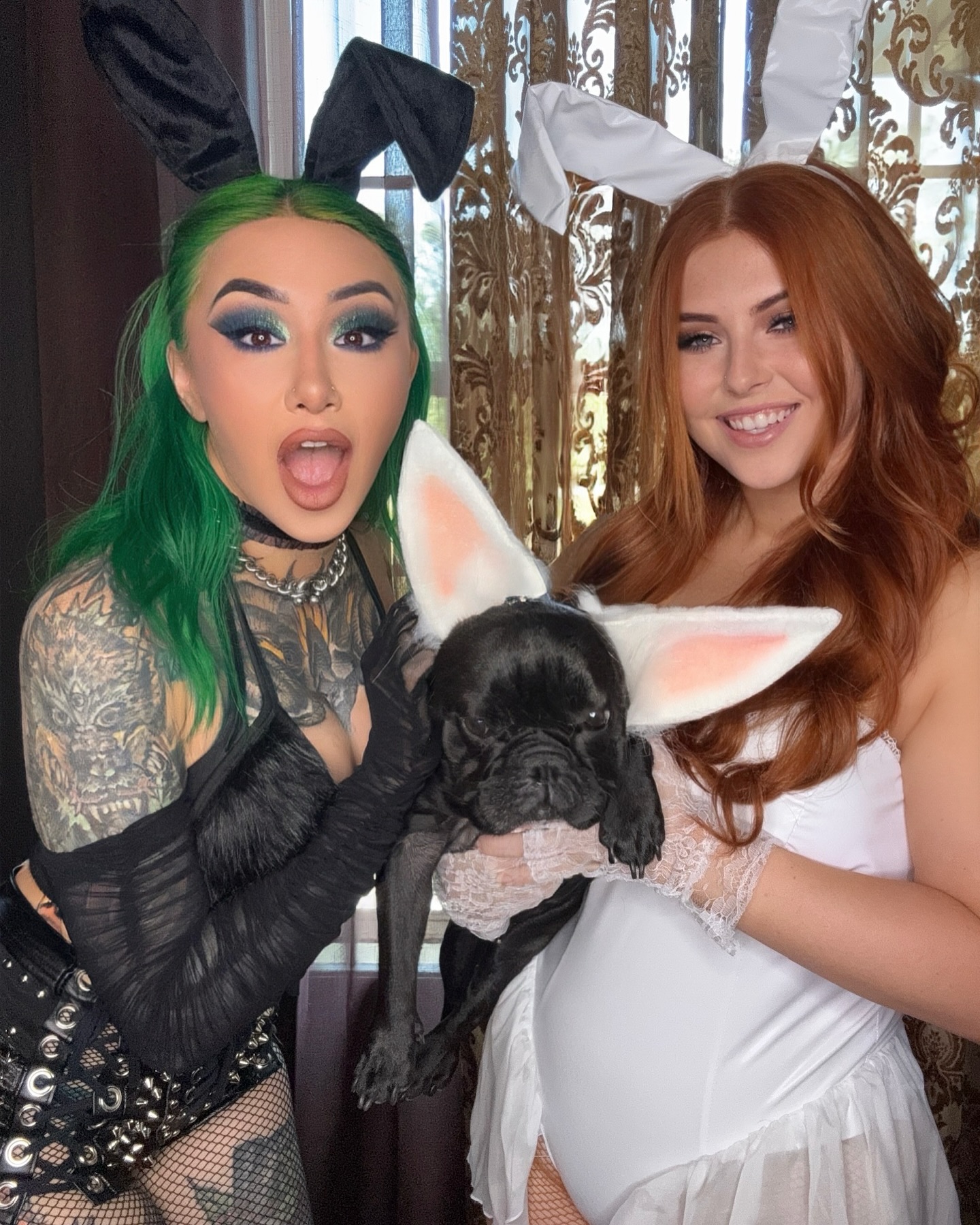 Image 7595684 from WWE Shotzi / Shotzi Blackheart