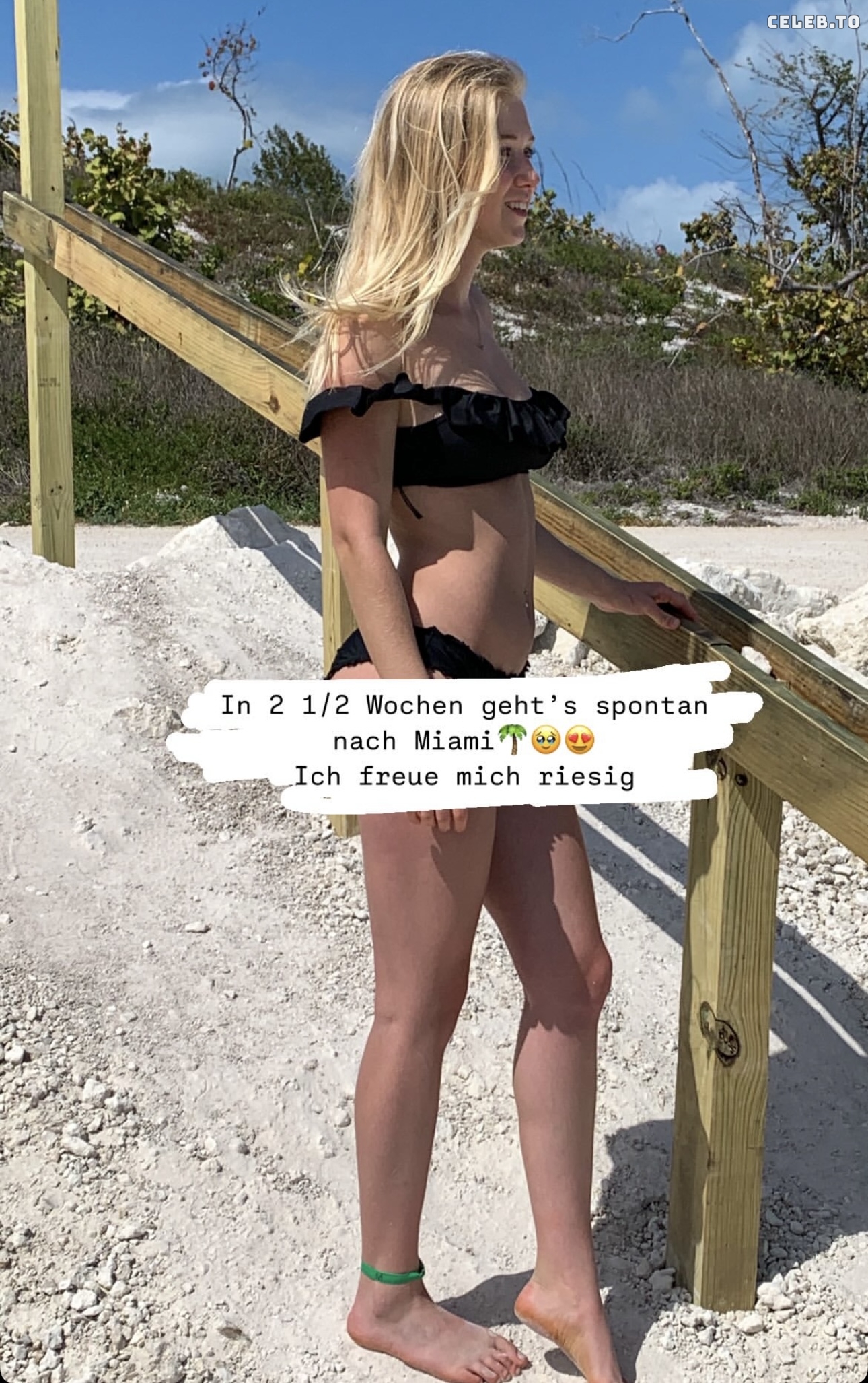Image 7706549 from Vivian Geißler