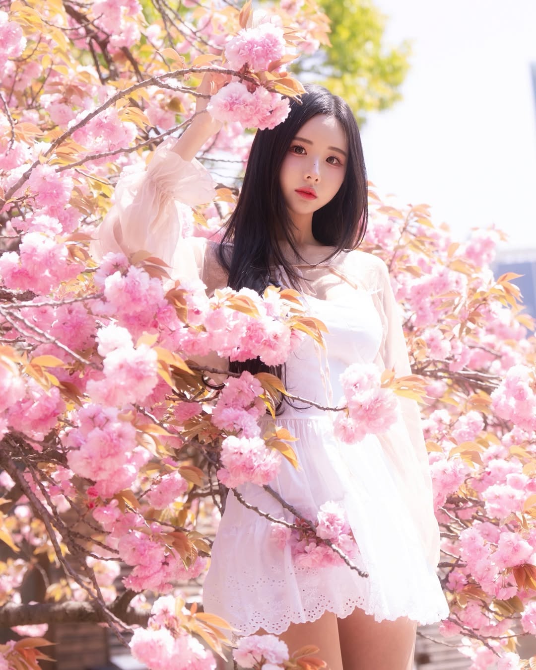 Image 7719614 from Habin (ex POCKETGIRLS)