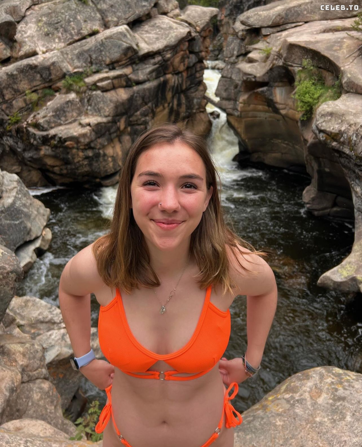 Image 772189 from McKinley Braun