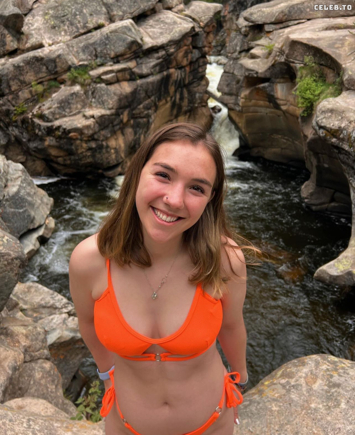 Image 772216 from McKinley Braun