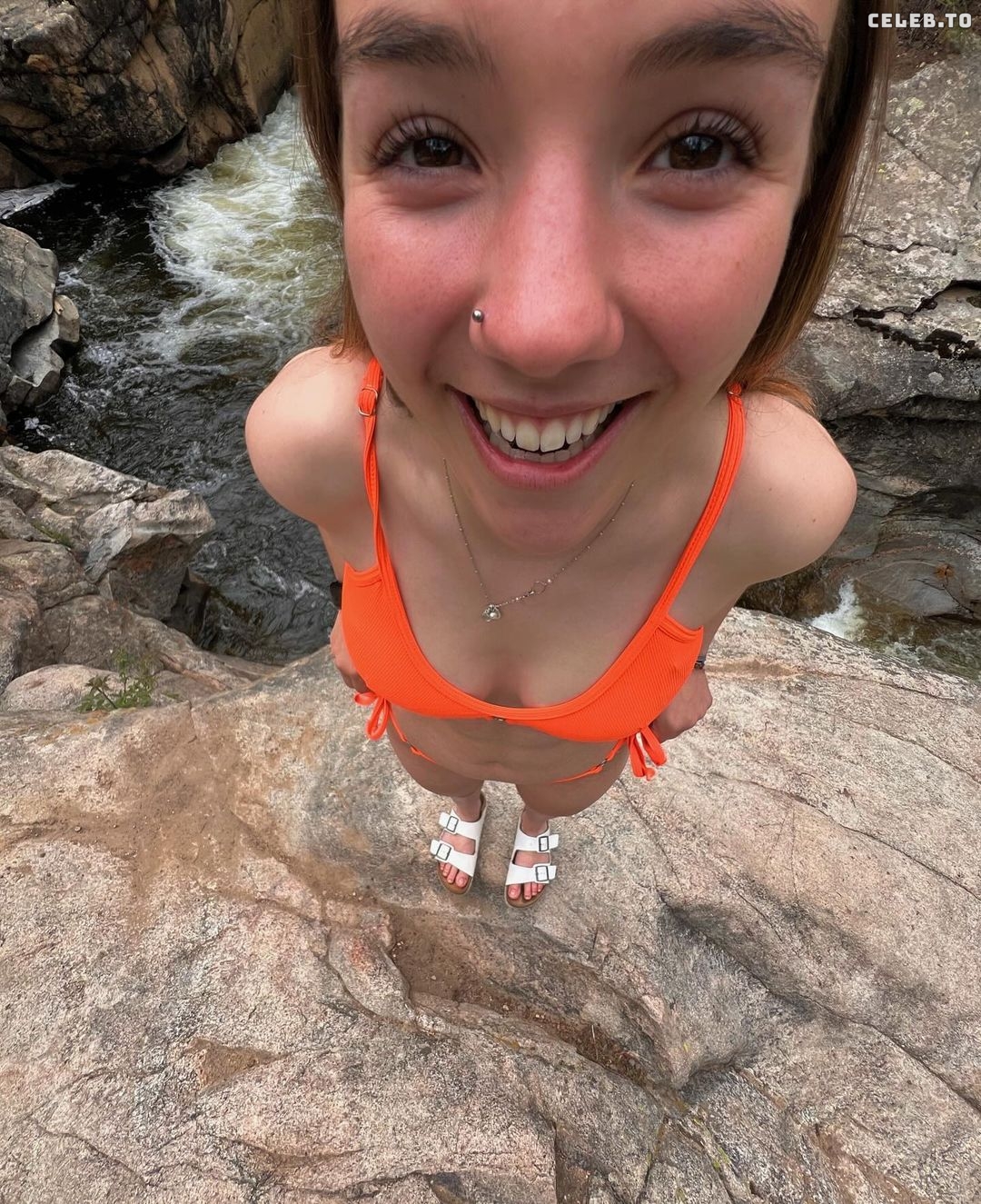 Image 772336 from McKinley Braun