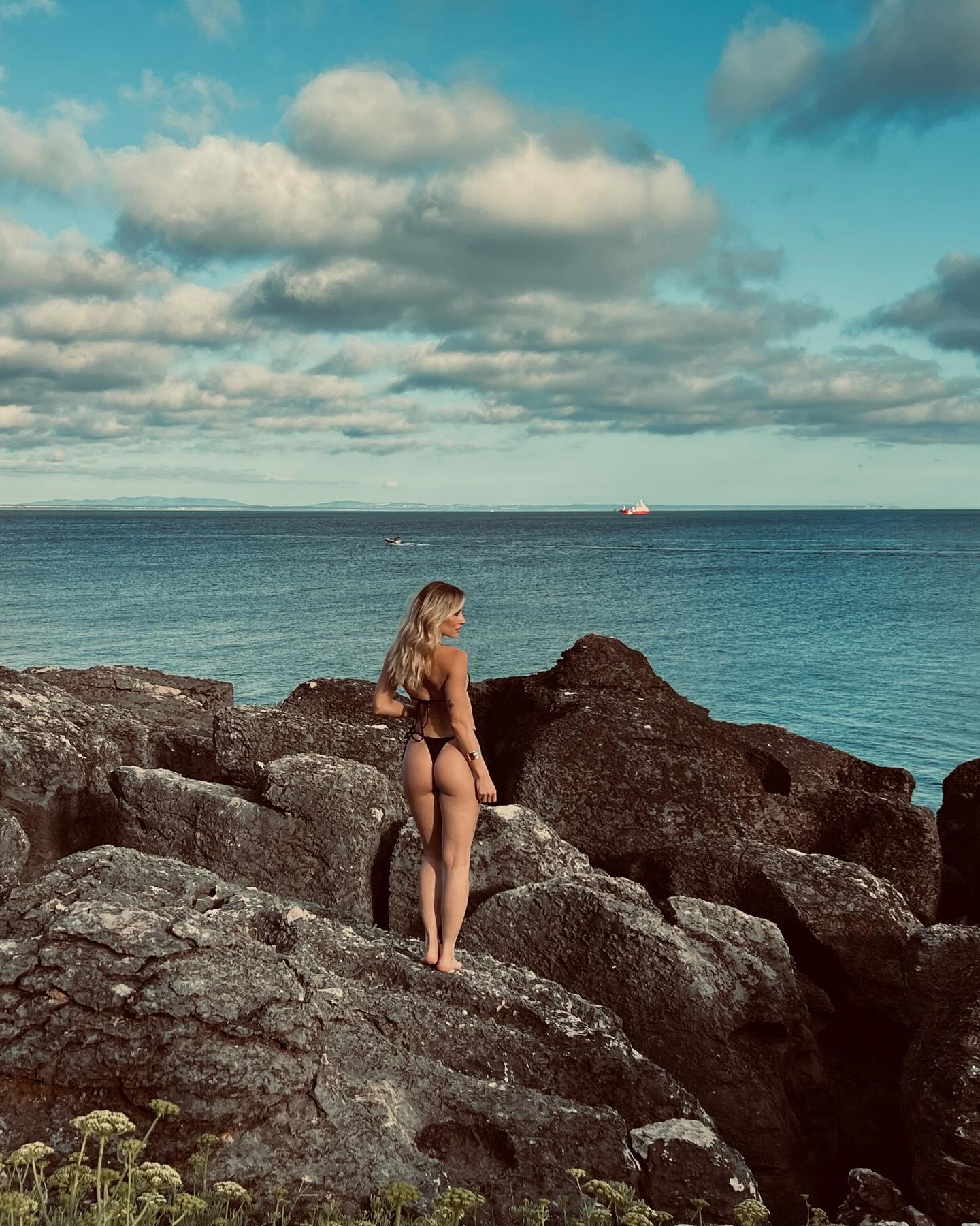 Image 7725833 from Barbara França