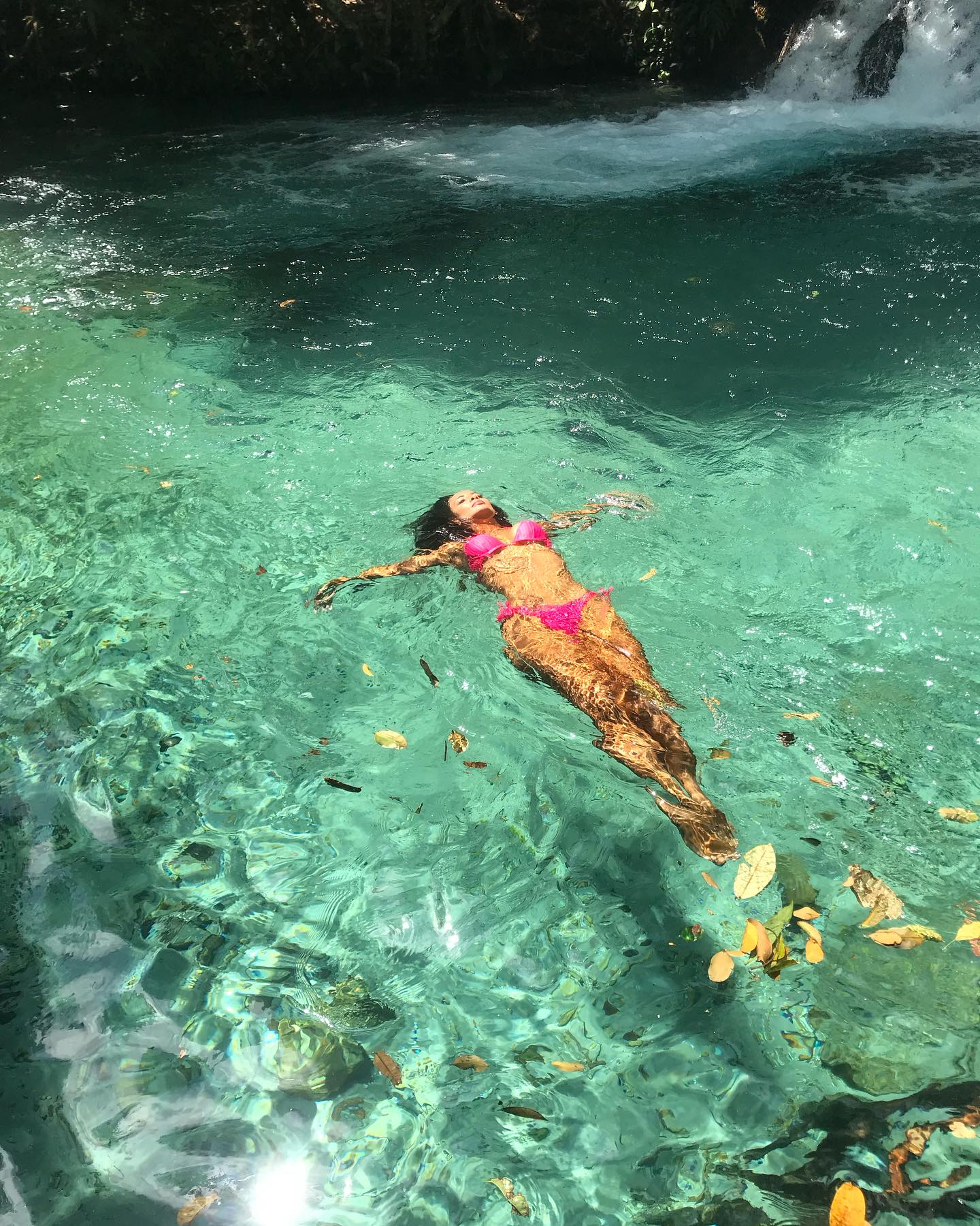 Image 7727415 from Carol Nakamura