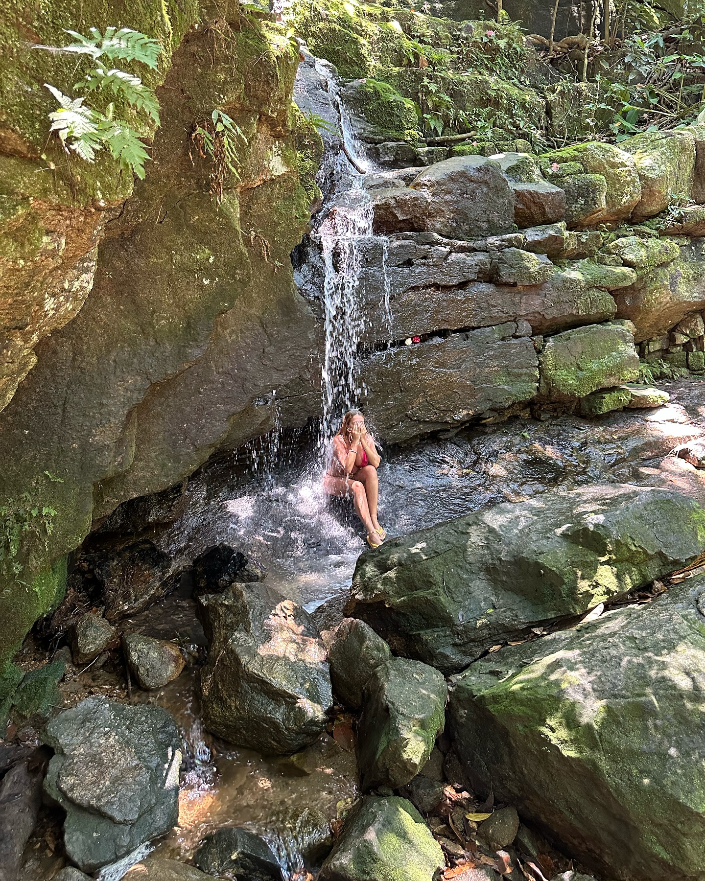 Image 7727693 from Gabi Lopes