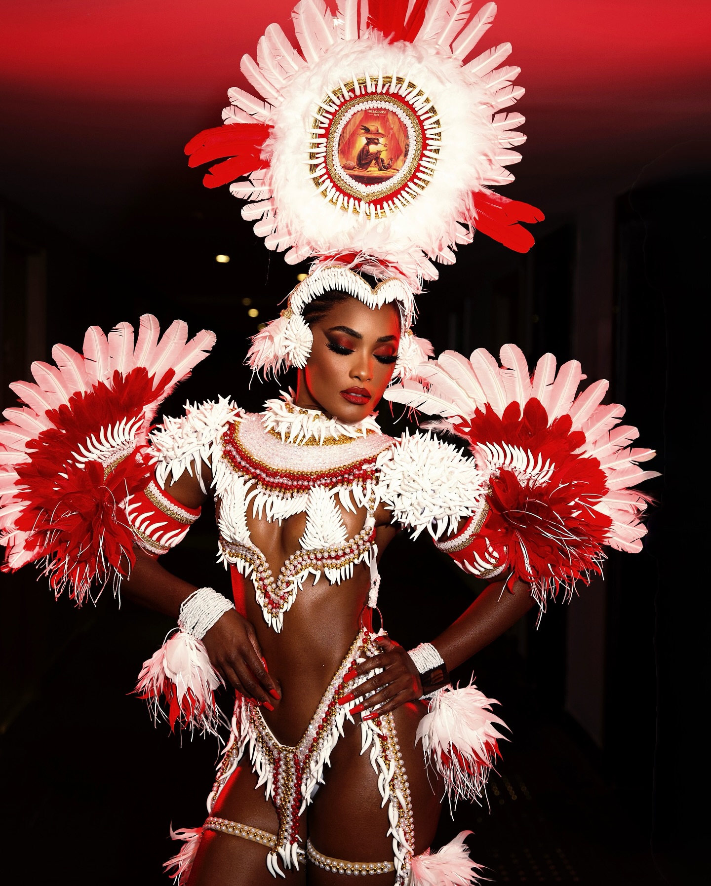 Image 7728471 from Erika Januza