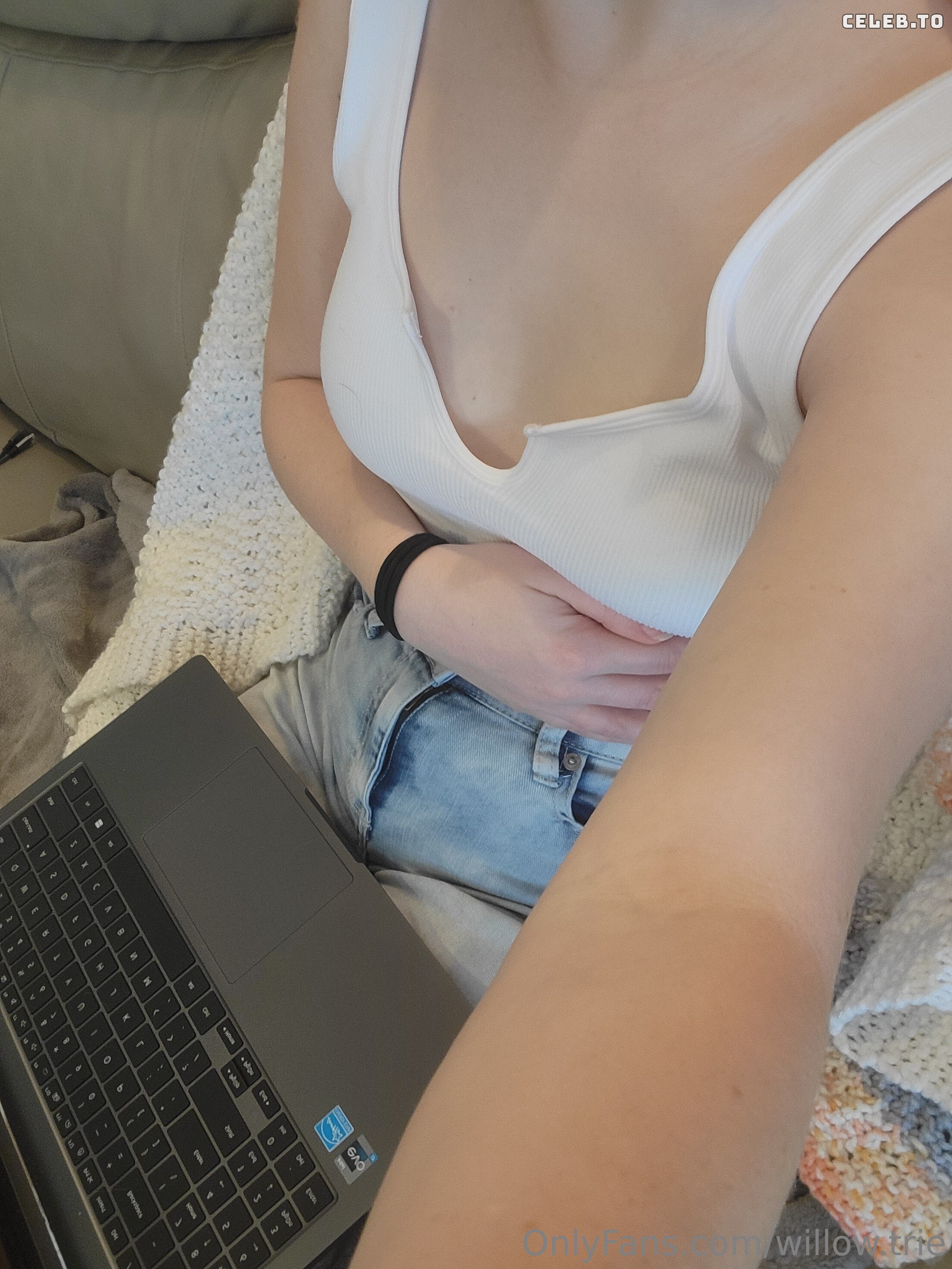 Image 7766664 from Willow Trie