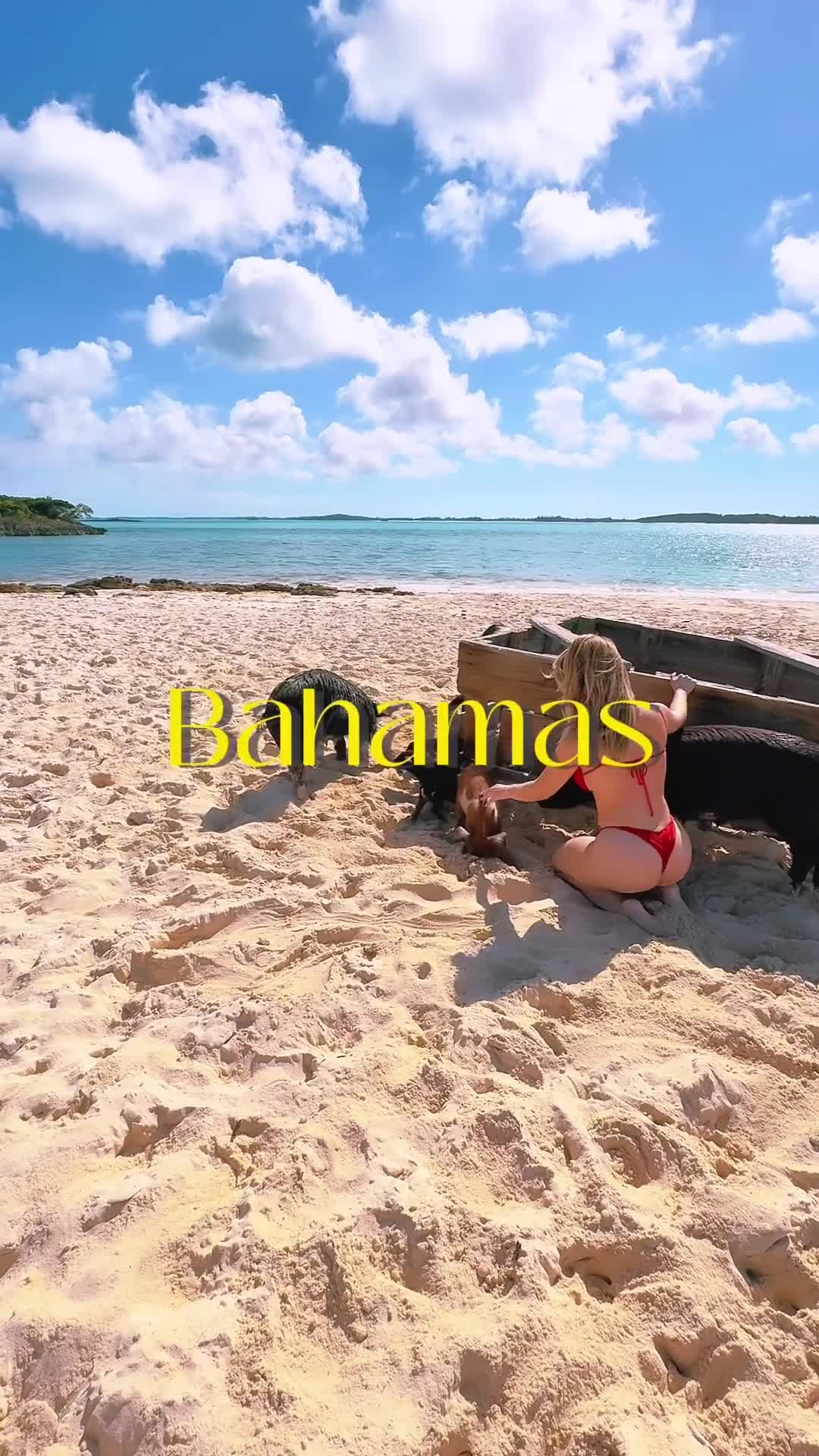 Video 234143 from Fernanda Keulla (ex-BBB)