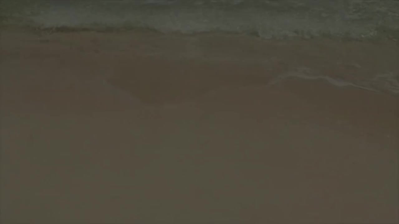Video 234153 from Carol Nakamura