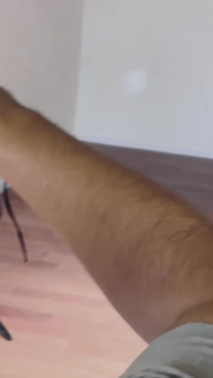 Video 234232 from Erika Januza