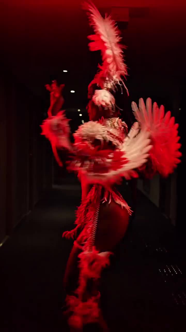 Video 234324 from Erika Januza