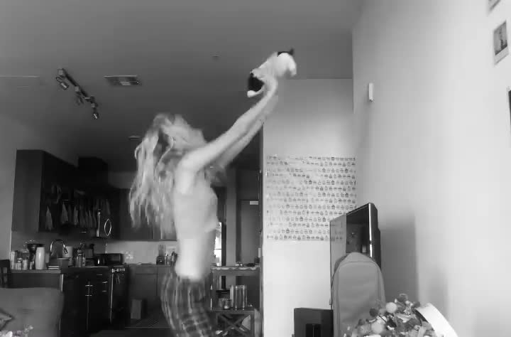 Video 235997 from Gus Birney