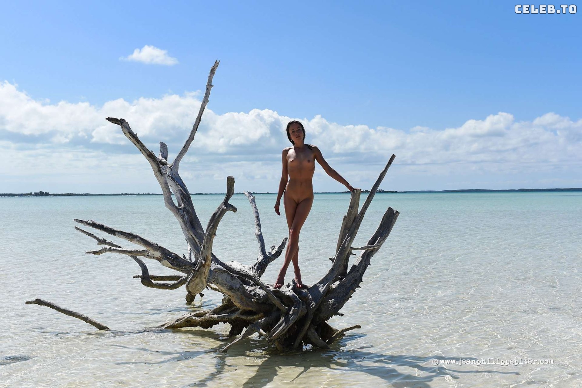Image 7786504 from Juliane Seyfarth