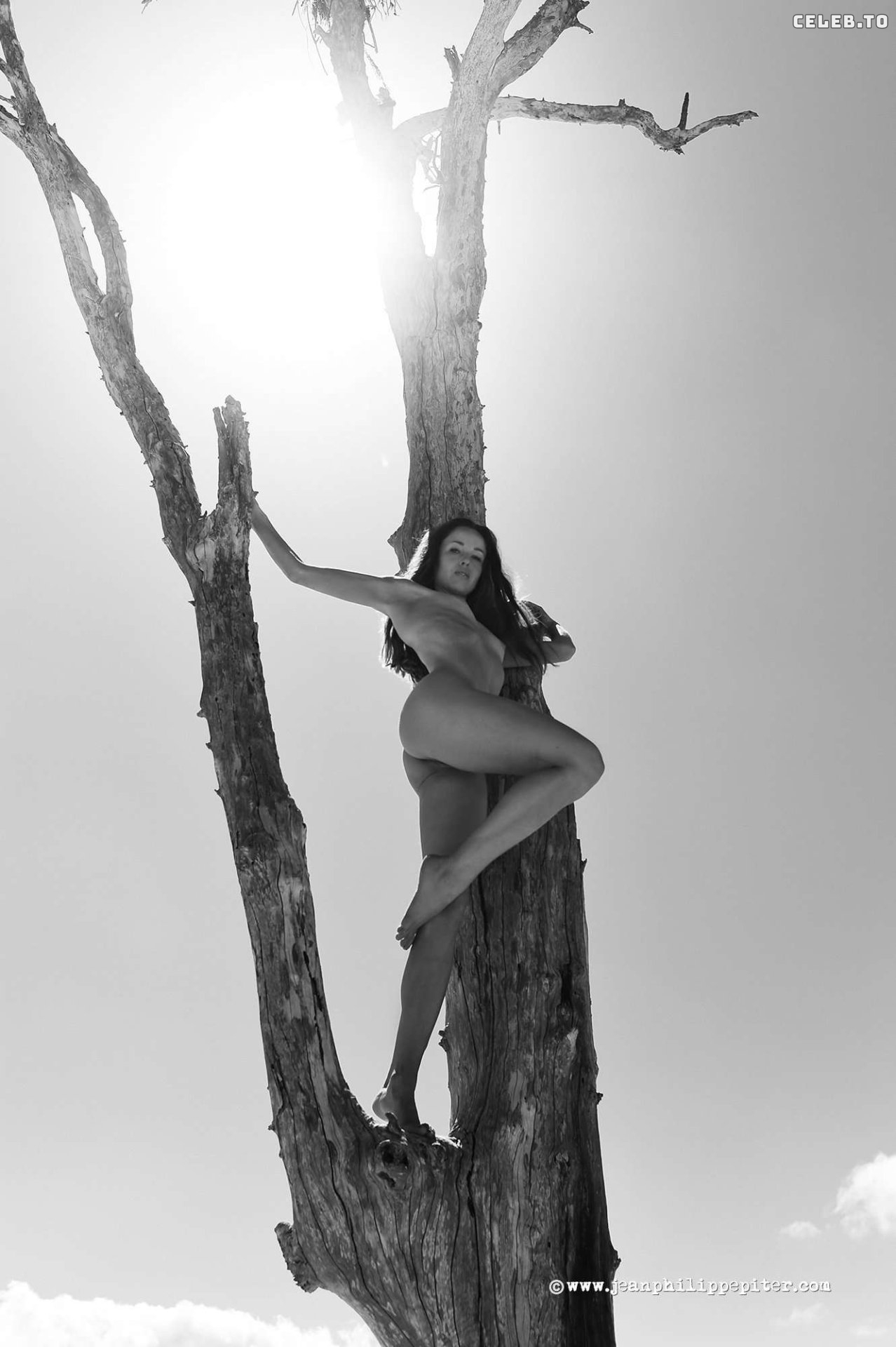 Image 7786511 from Juliane Seyfarth