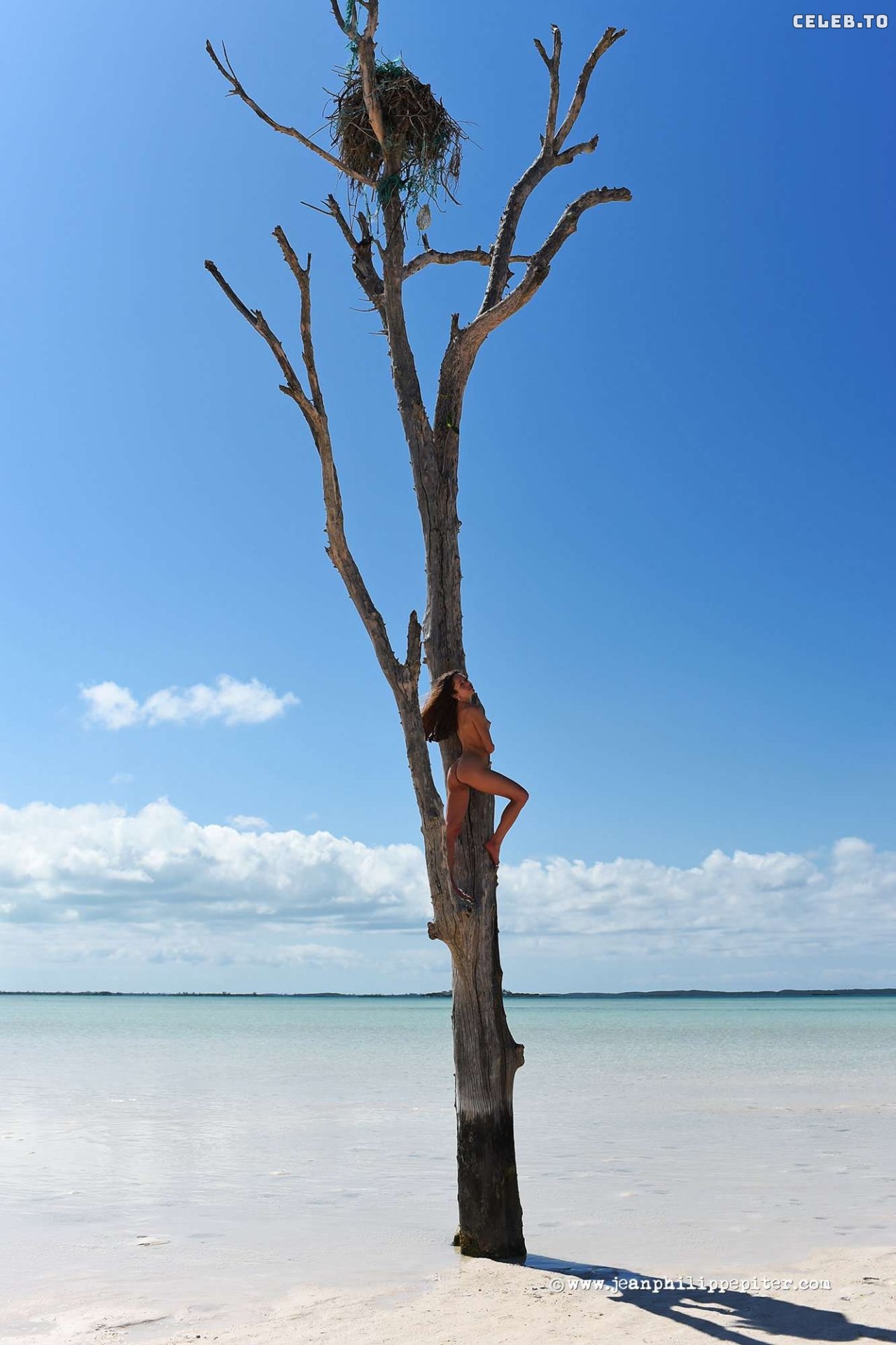 Image 7786512 from Juliane Seyfarth