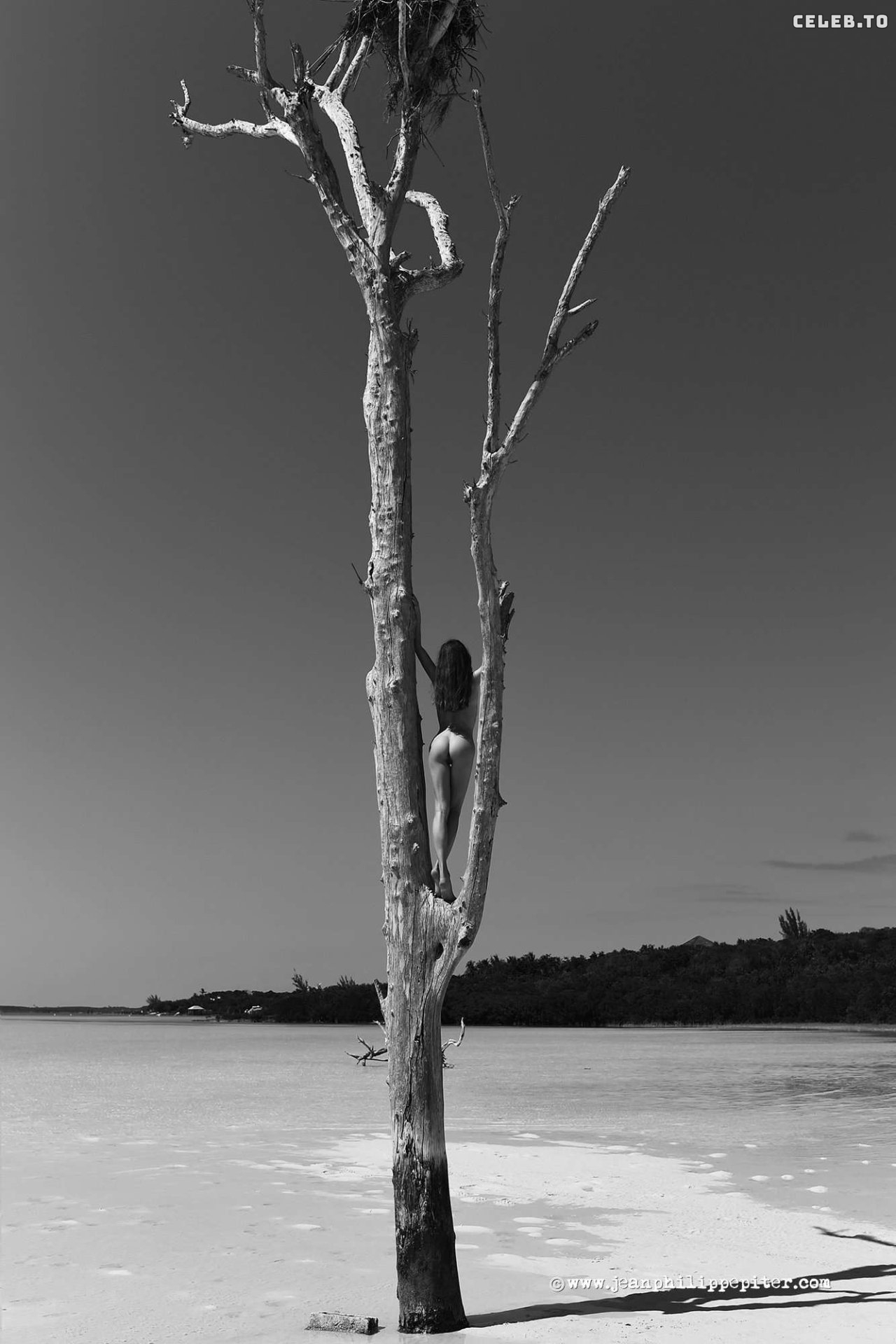 Image 7786514 from Juliane Seyfarth