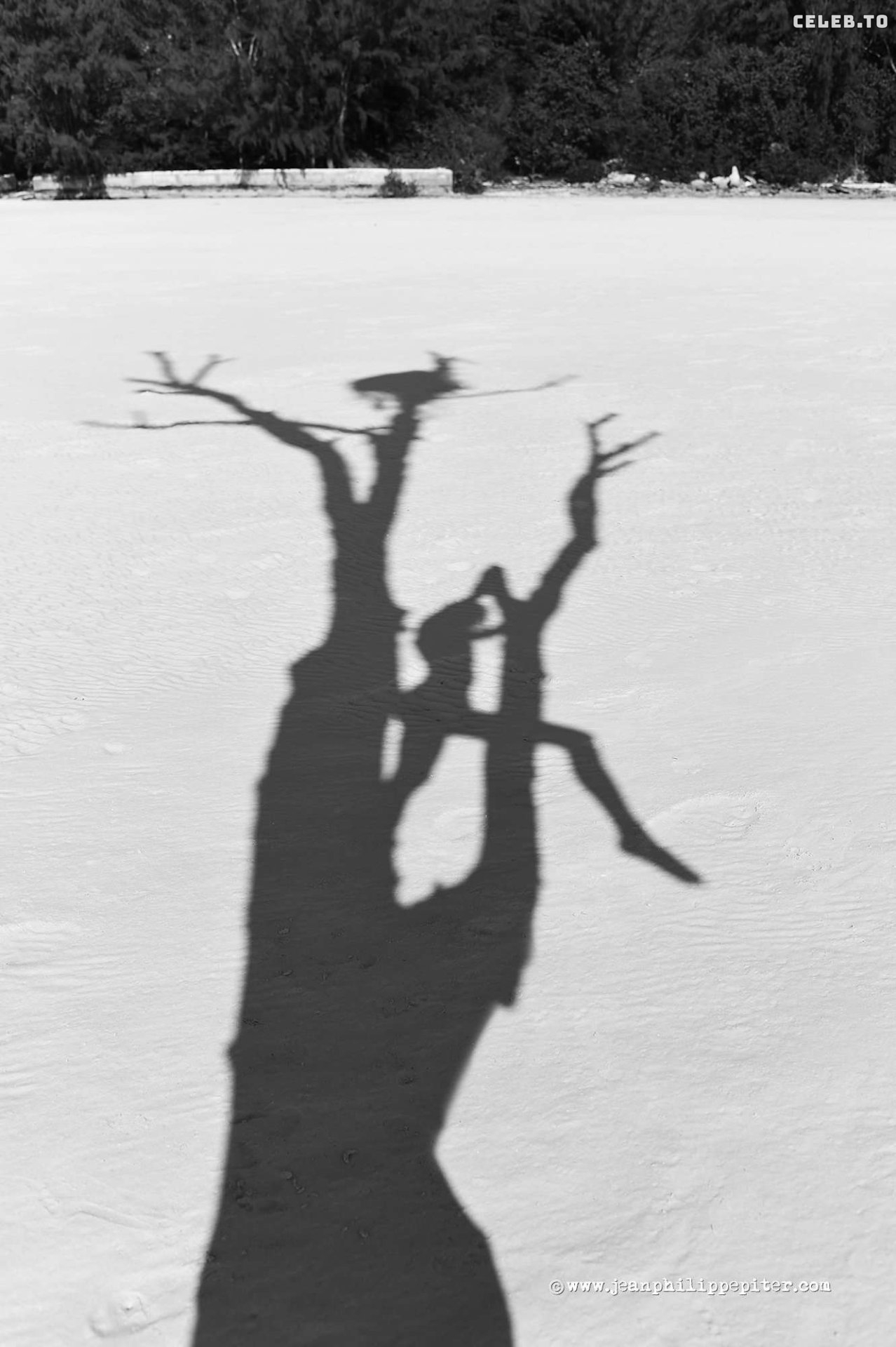 Image 7786516 from Juliane Seyfarth