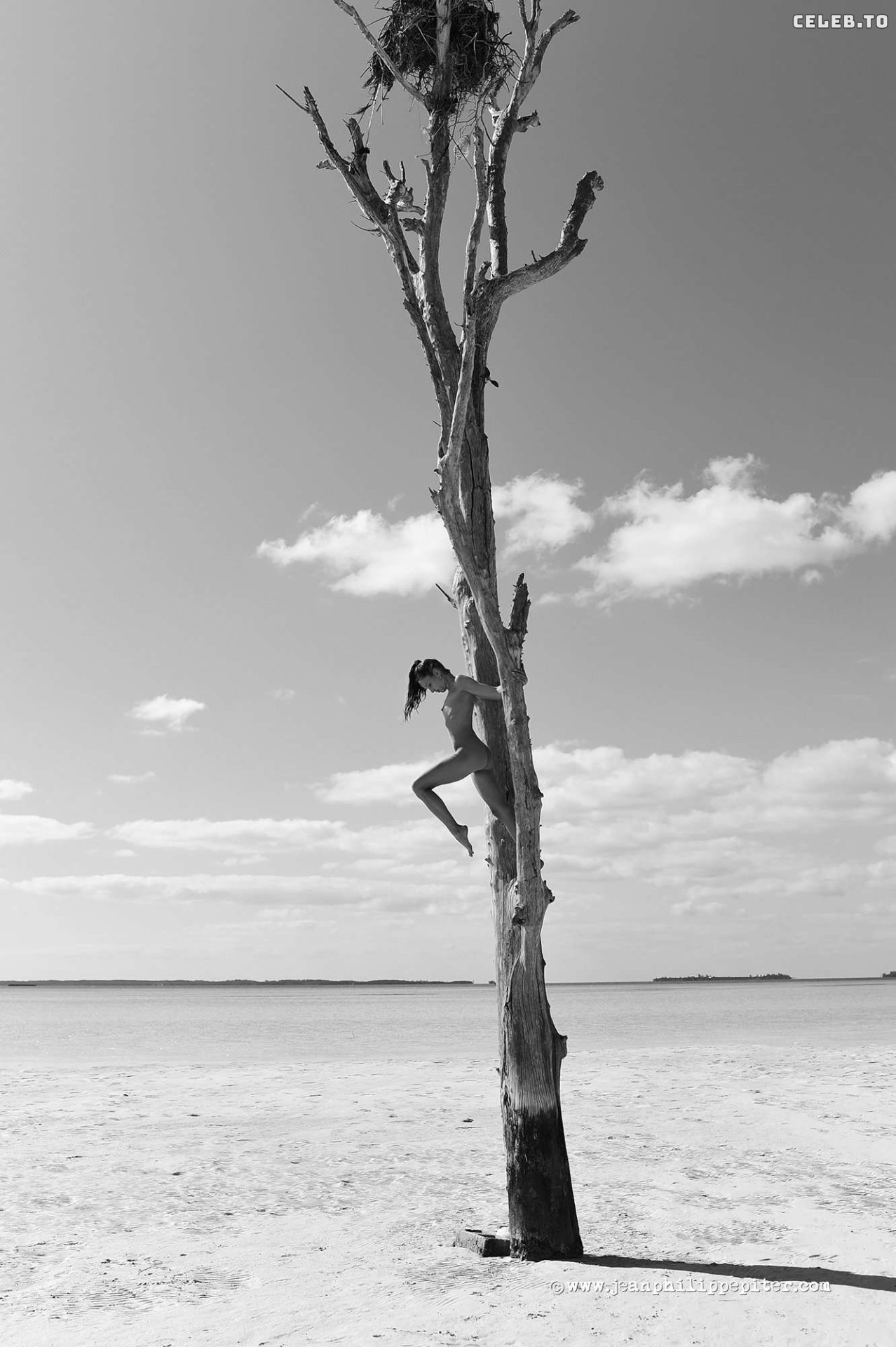 Image 7786517 from Juliane Seyfarth